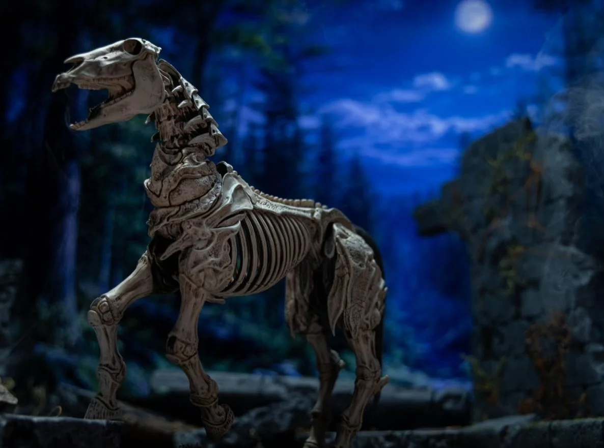 Mythic Legions: Reinforcements 3 Skeleton Steed Legion Builder Environment