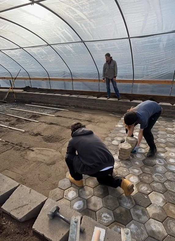 Screenshot 2025-02-14 143326.jpg