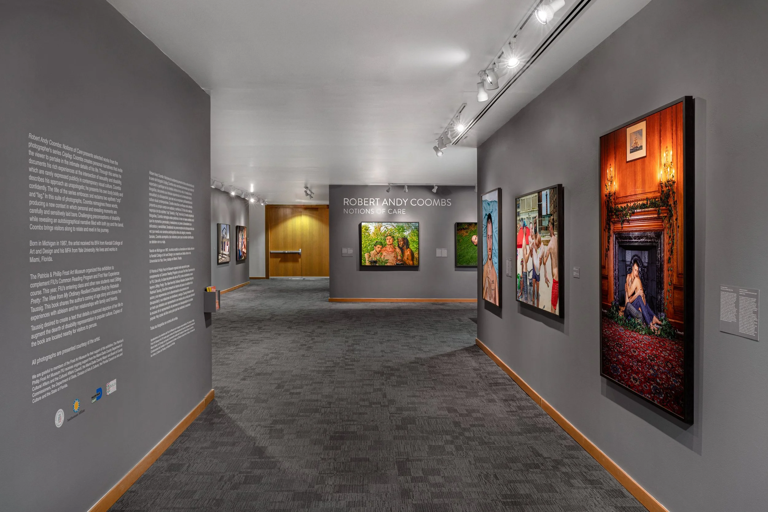 Art gallery display featuring multiple paintings on gray walls, with informational text panels and a wooden door in the background.