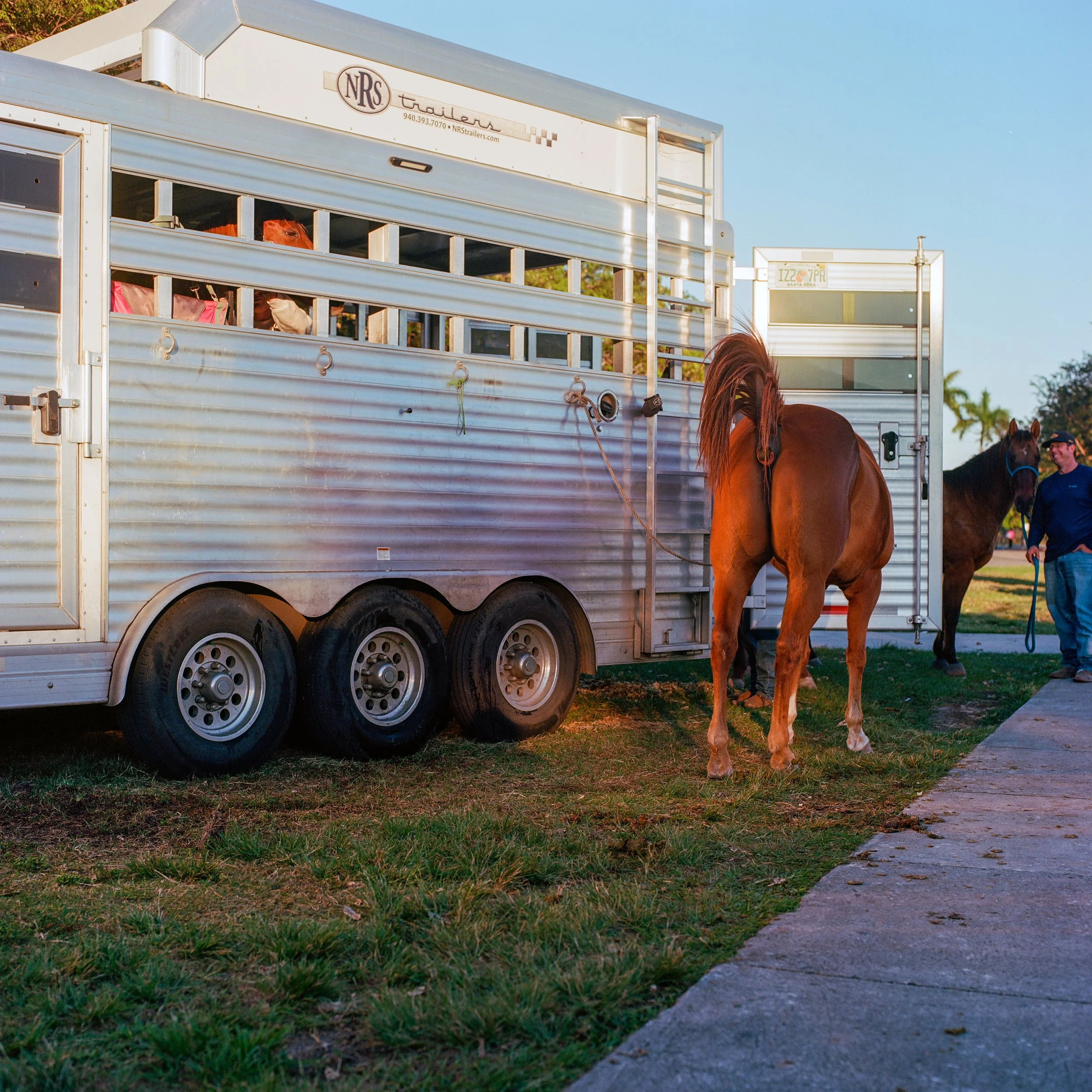 A brown horse is tied outside a silver horse trailer on a grassy area during daylight. A person stands nearby holding a lead rope, with another horse visible in the background.