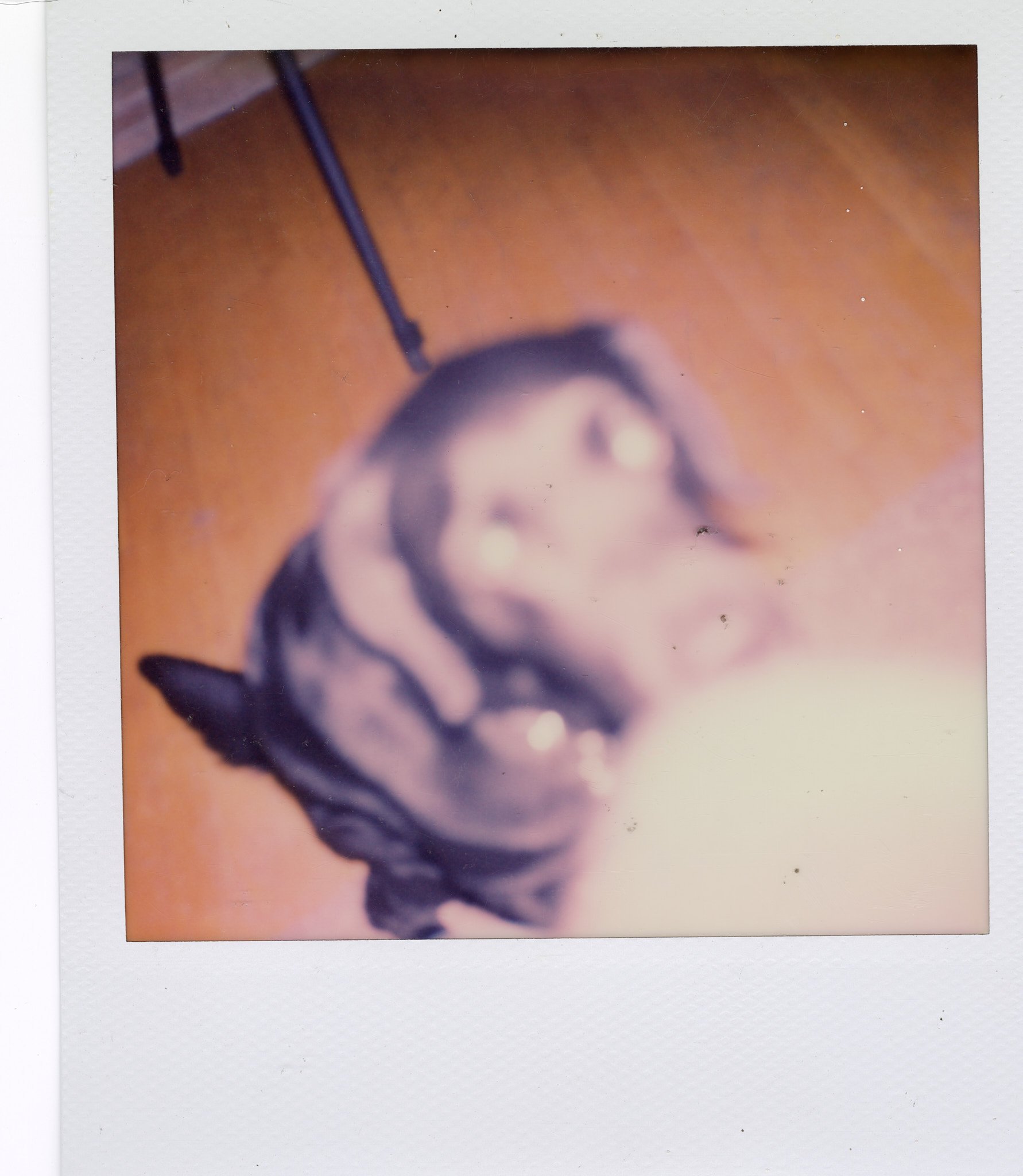 Blurred Polaroid photo of a dog with black and tan fur, possibly a German Shepherd, on a wooden floor, with a black object or furniture leg visible in the background.
