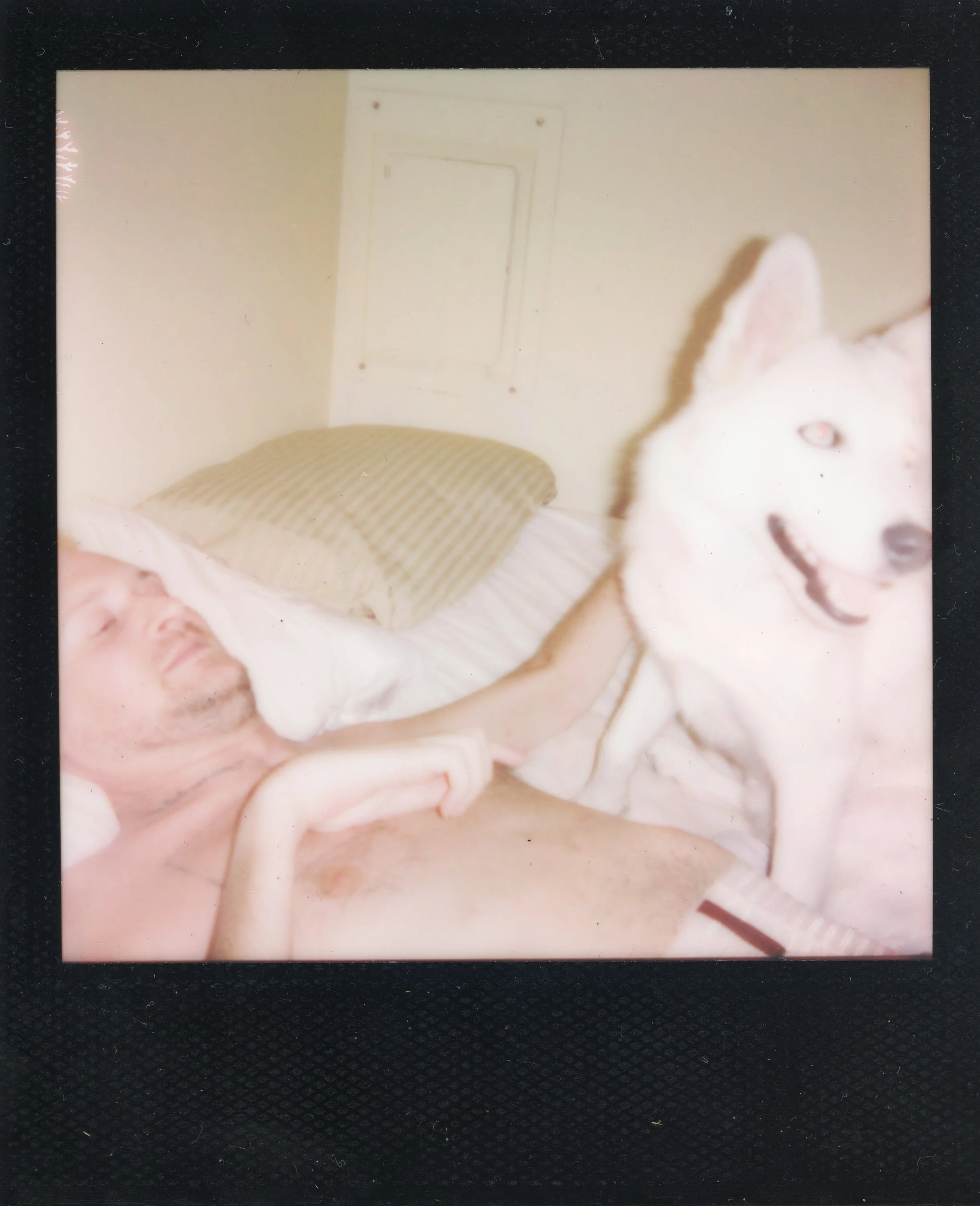 A man lying in bed with a Siberian Husky next to him, in a room with a beige pillow and a small door in the wall.