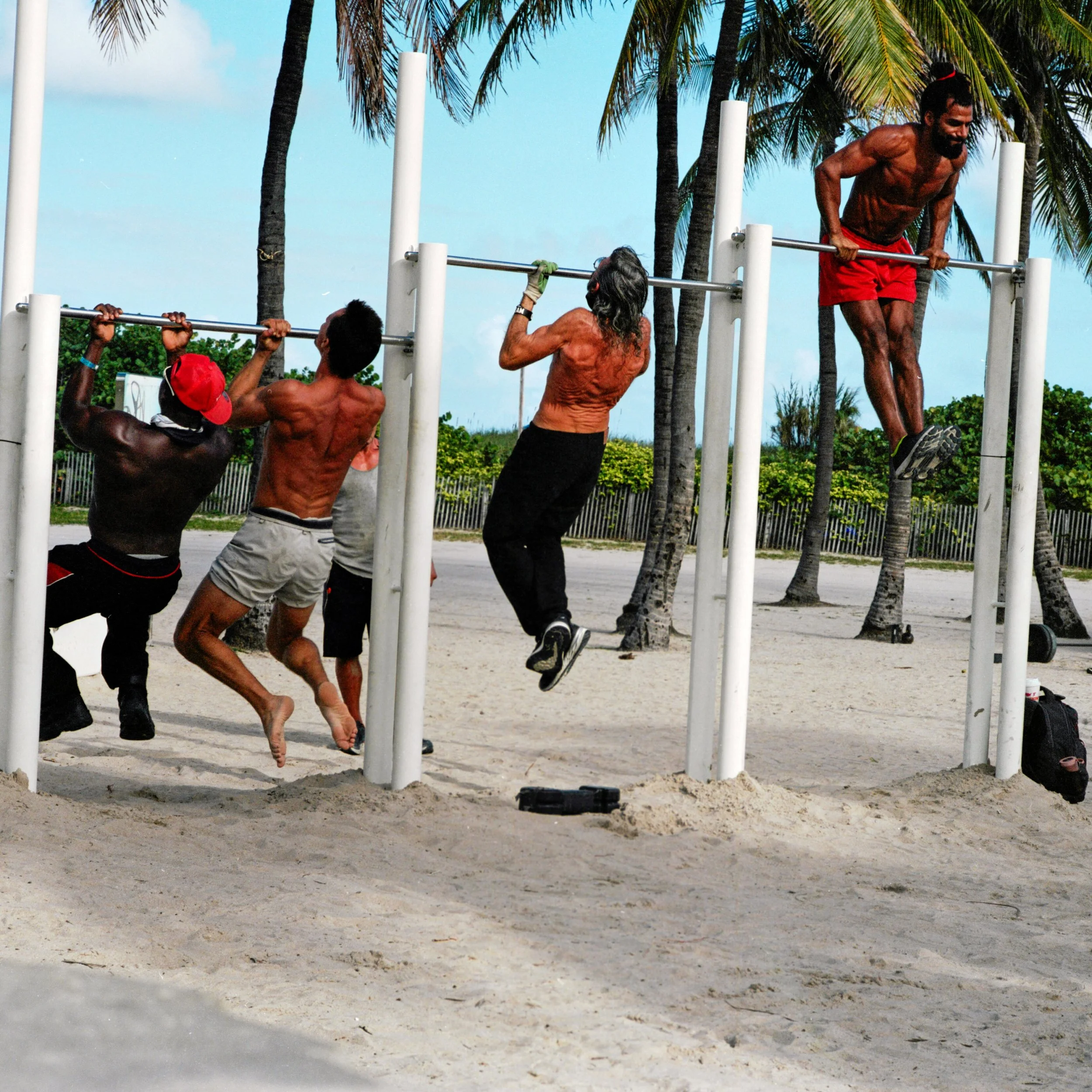 Group of people doing pull-ups on outdoor fitness bars at a beach, surrounded by palm trees.