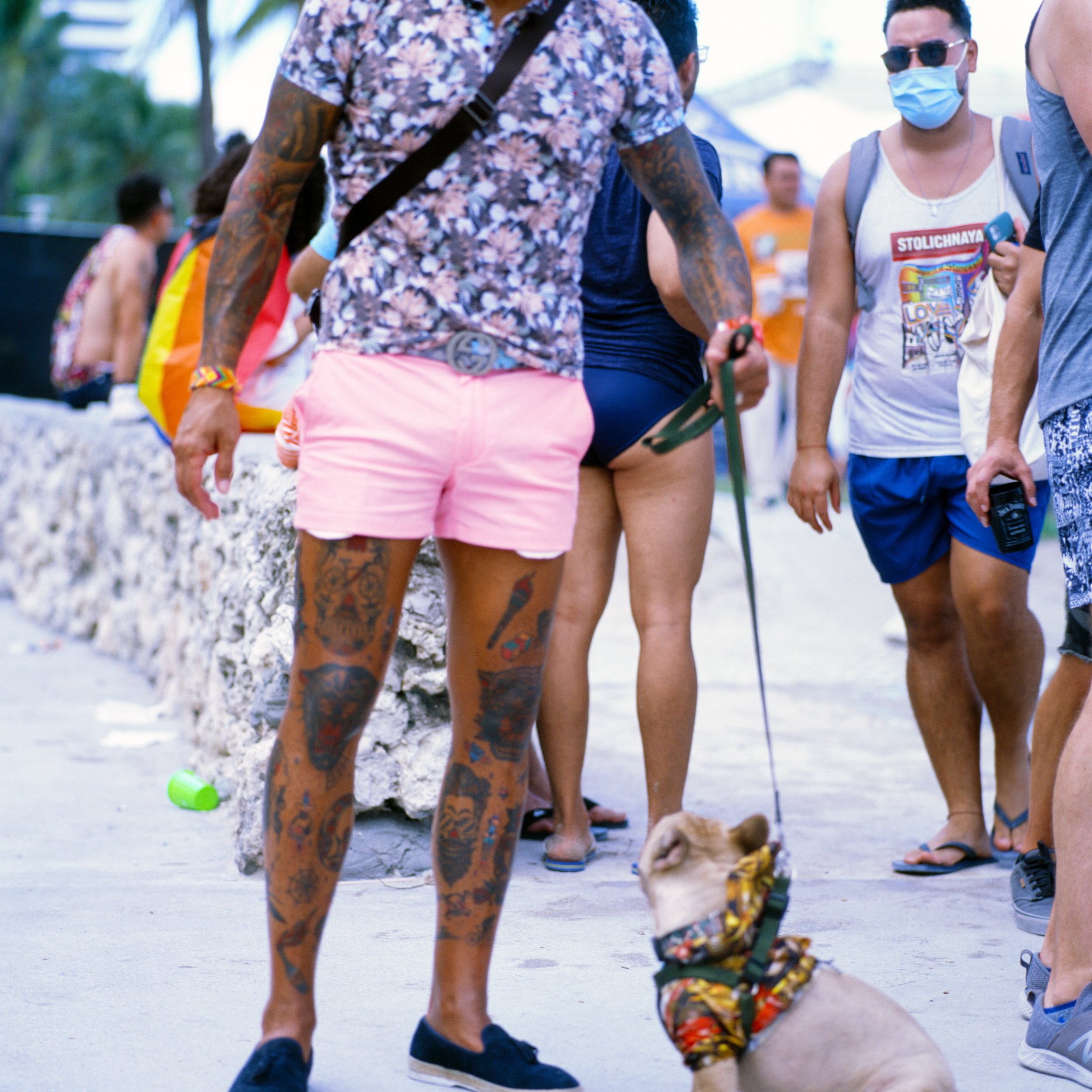Group of people at a beach, some wearing casual summer clothing, with one person holding a small dog on a leash. Most are wearing masks, and there are rocks and a tent in the background.