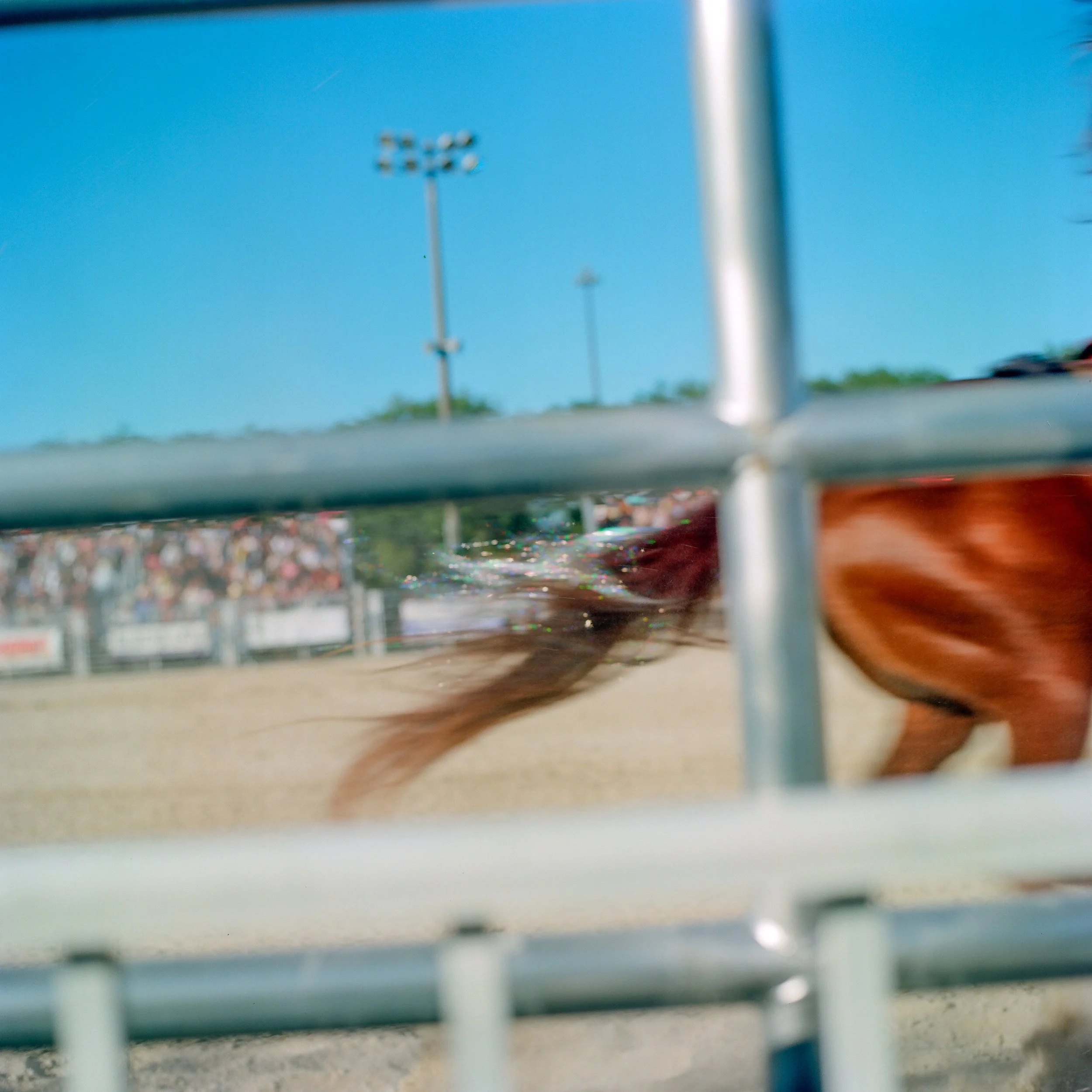 A close-up shot at a rodeo or dirt arena shows the shot from beneath a horse, with the horse's tail moving, and metal railings in the foreground. In the background, there are spectators and tall light poles under a clear blue sky.