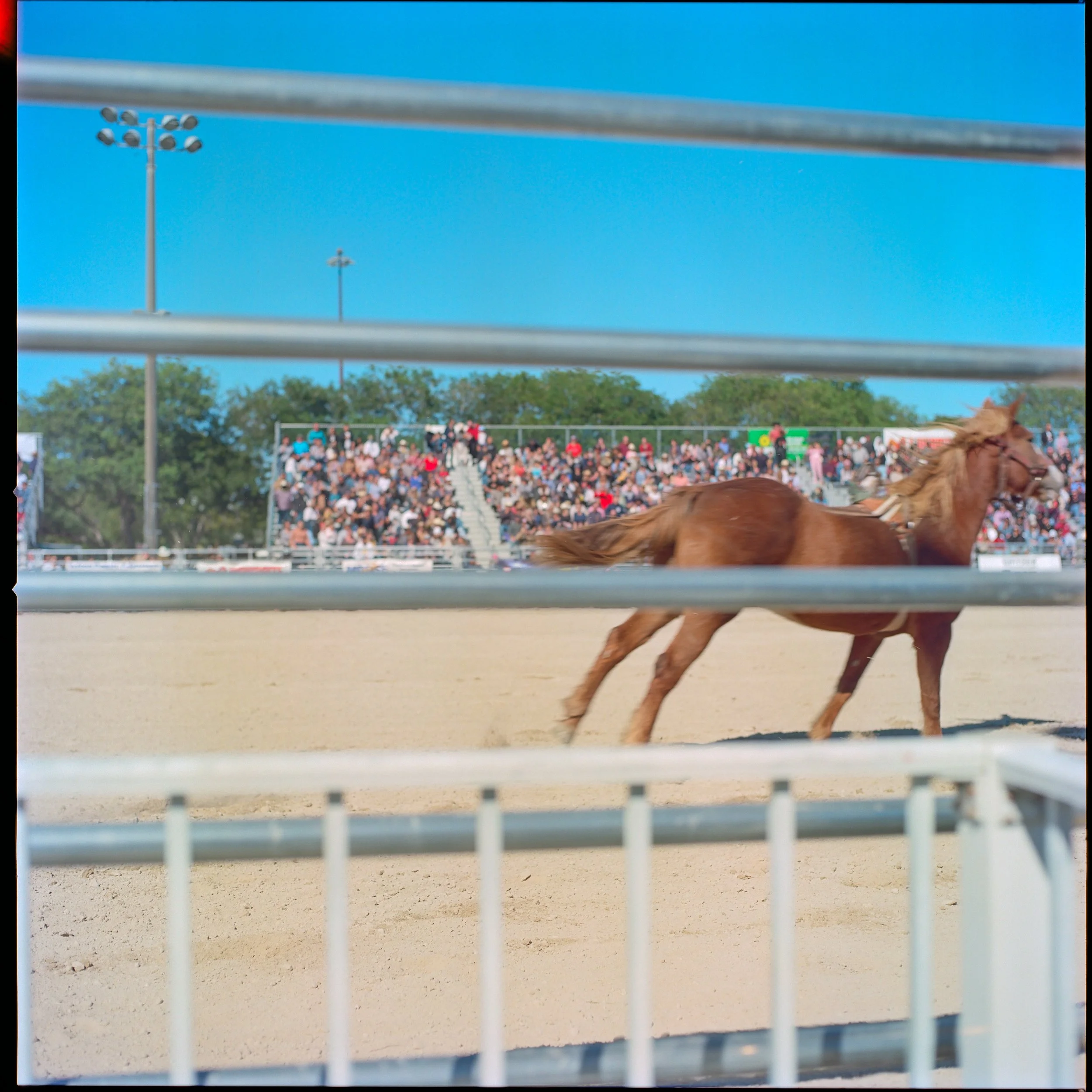A horse racing event at a stadium with a crowd in the stands, viewed through metal bars of a fence.