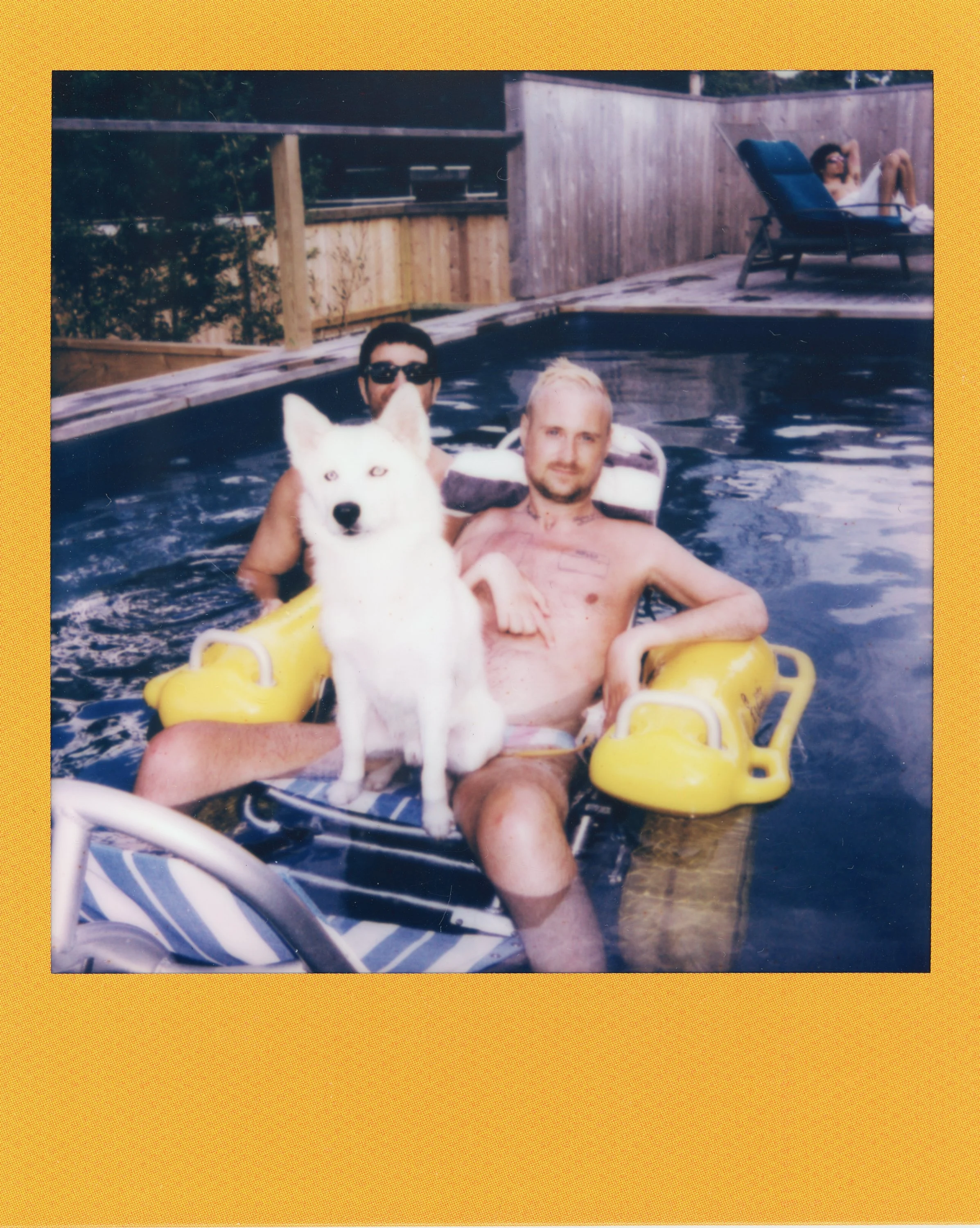 Two men in a swimming pool with a white dog sitting on a float in front of them. One man is shirtless with blonde hair, the other is wearing sunglasses, with a person relaxing on a lounge chair in the background.