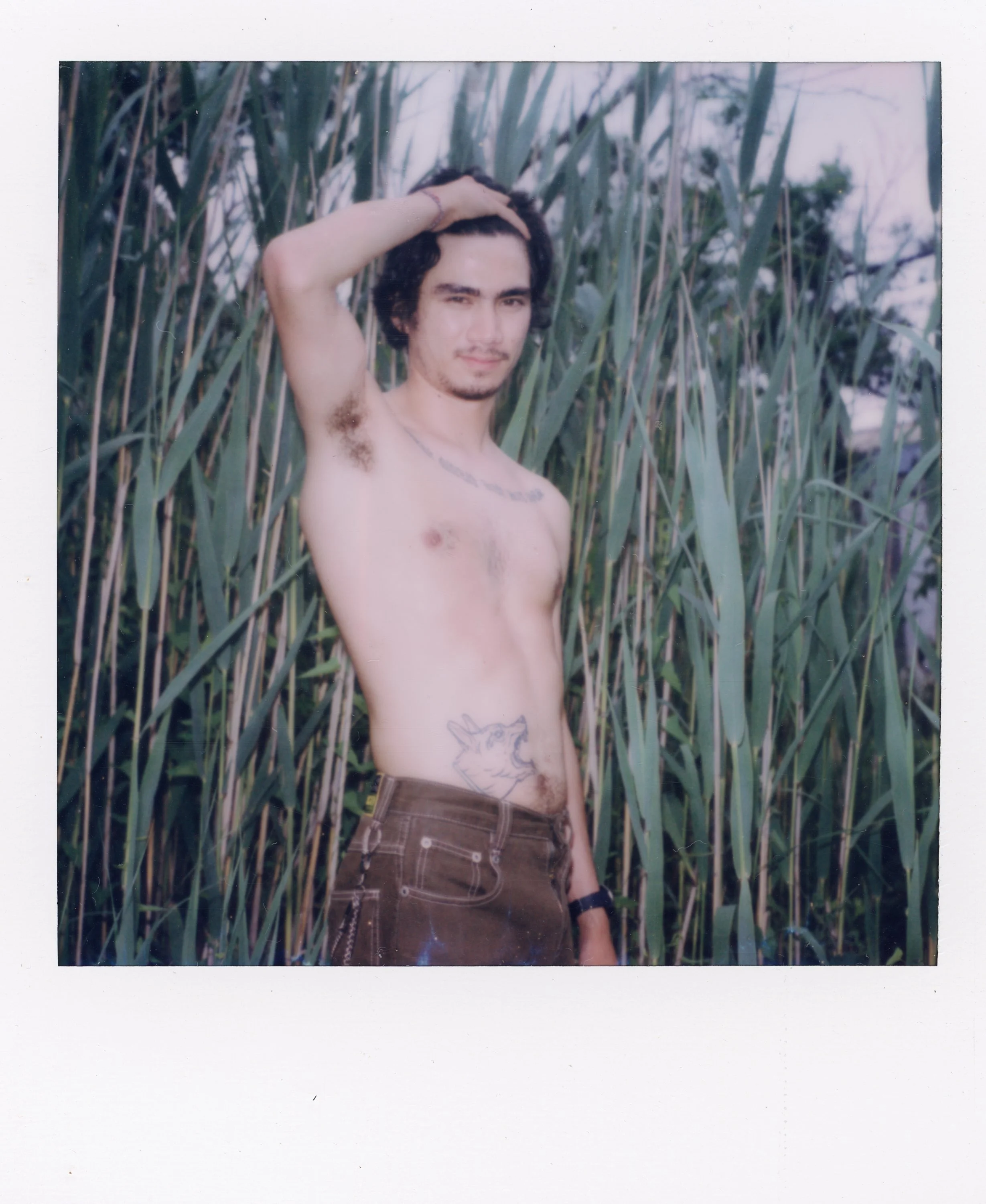 A shirtless young man with dark hair and tattoos on his chest and side poses outdoors in front of tall green grass, with one hand in his hair.
