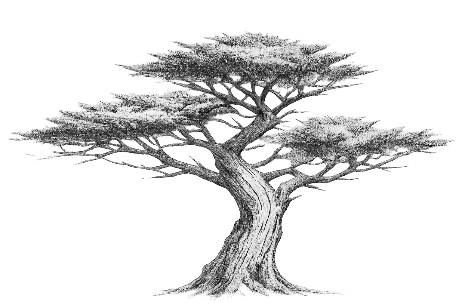 Monterey Bookkeeper