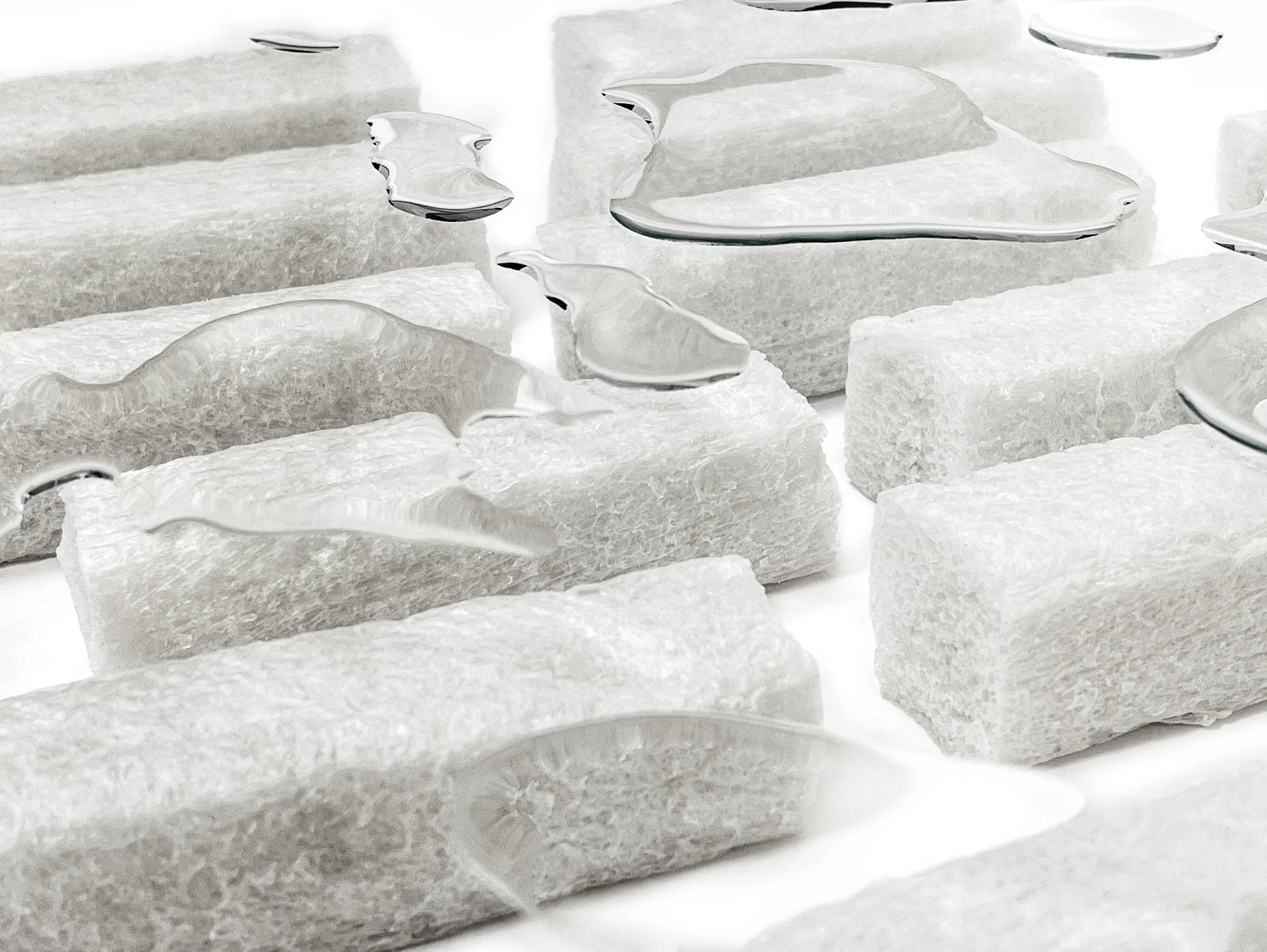 Copy of IMG_0074.jpg