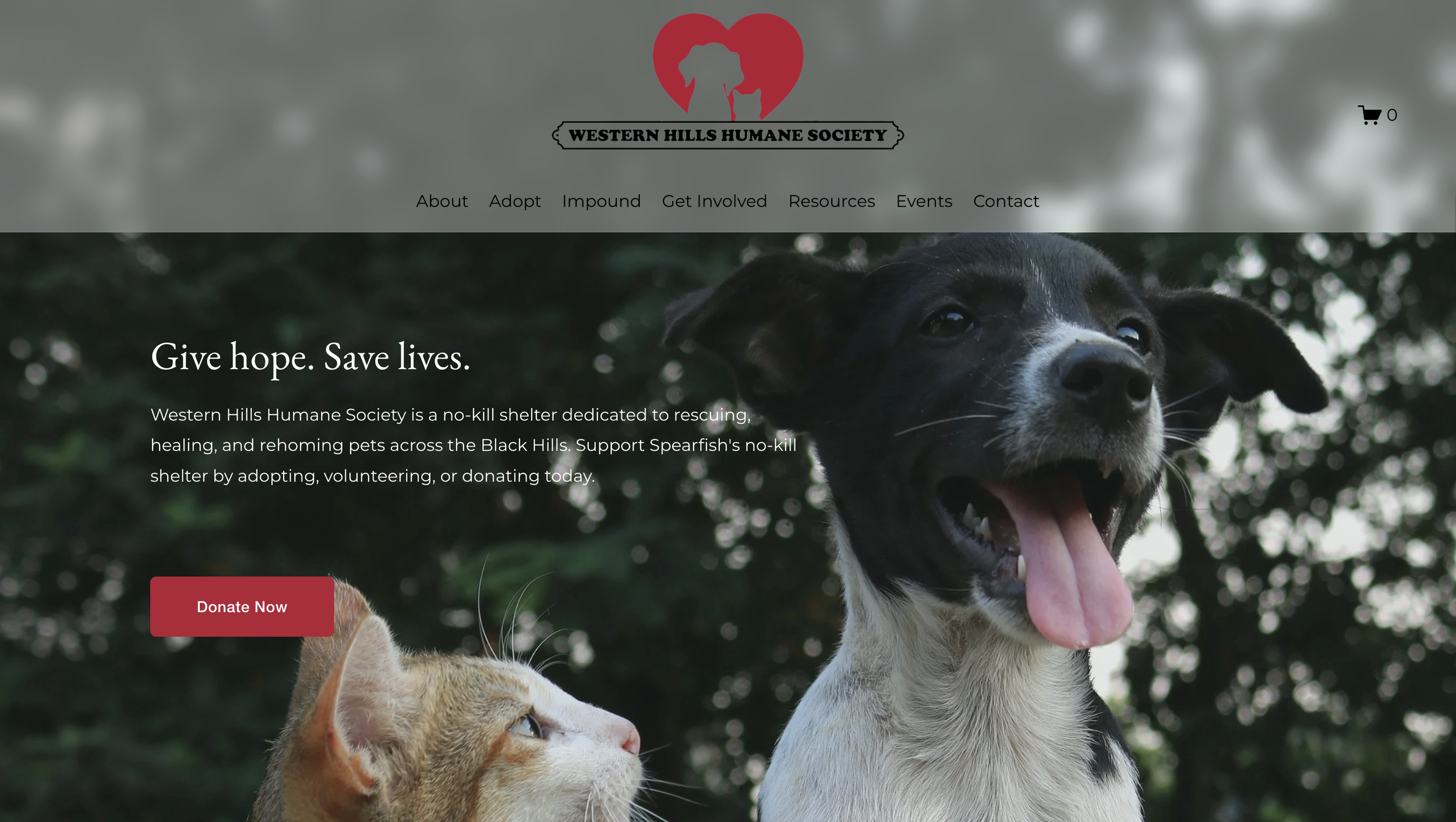 WESTERN HILLS HUMANE SOCIETY// WEBSITE DESIGN