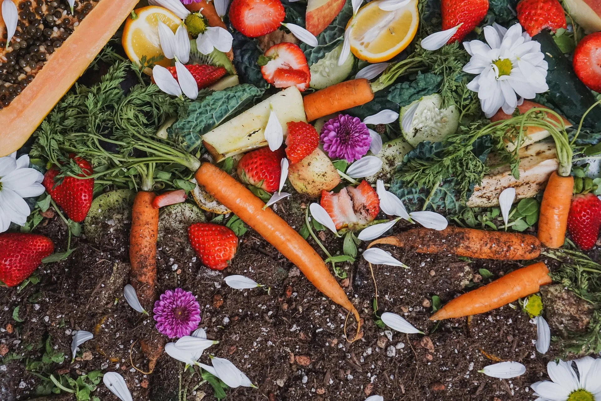 Copy of Compost-1 _inet.jpg