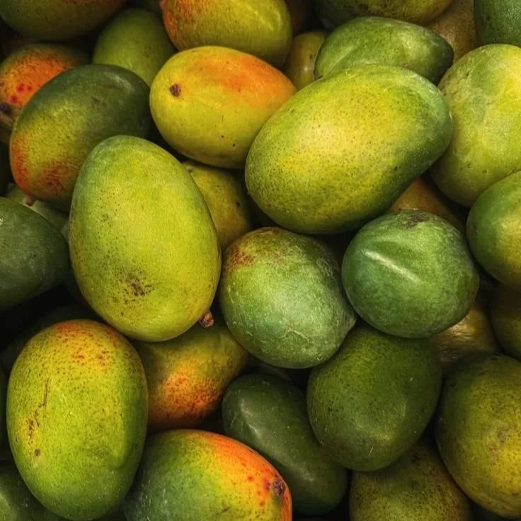 Mango Seed Butter