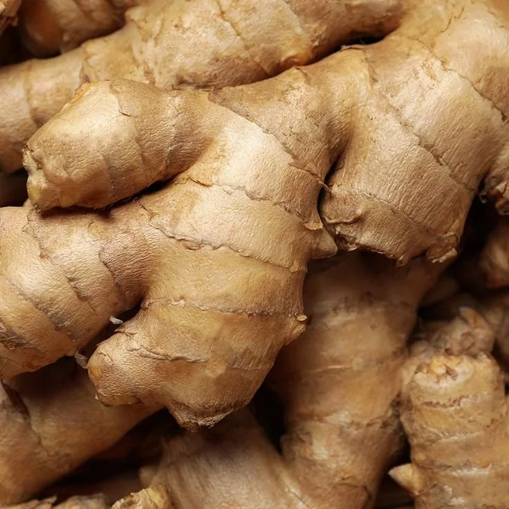 Ginger