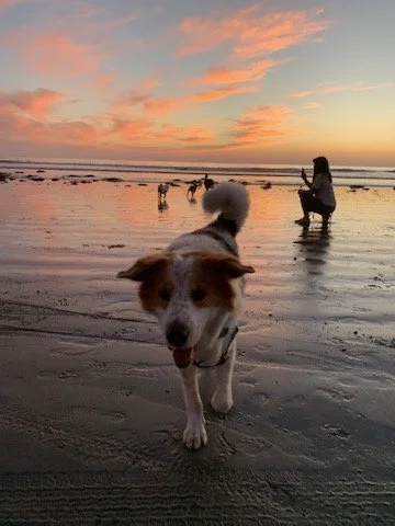 The Beach Approach: How Taking a Step Back Can Move Your Business Forward