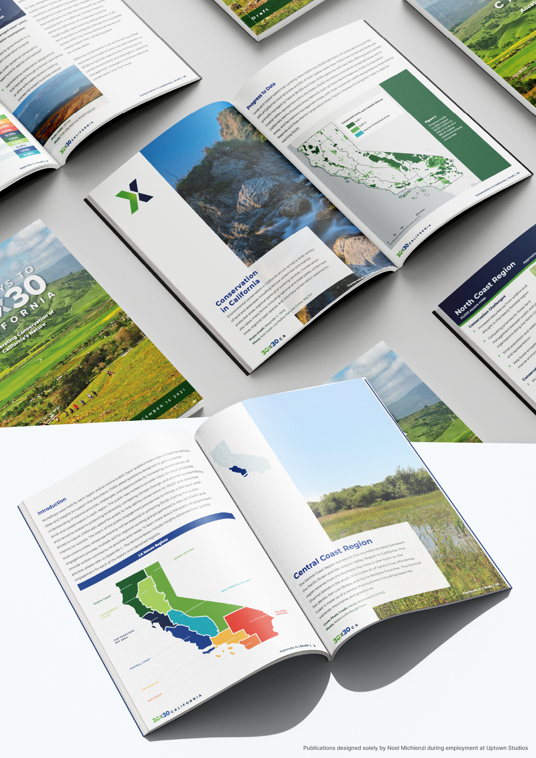 UM - 30x30 - Publications.png