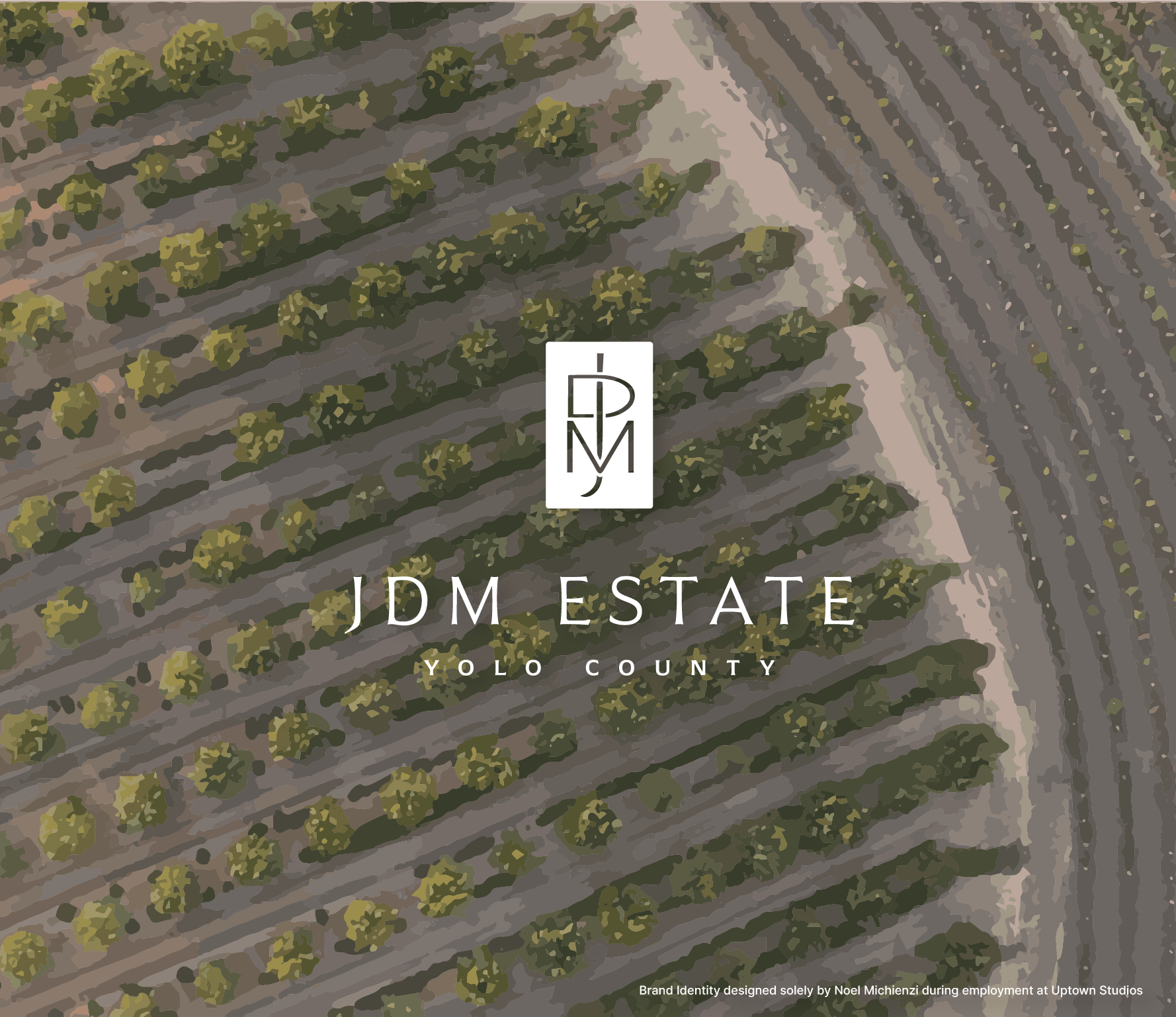 Aerial view of a vineyard with rows of grapevines, featuring the logo and text for JDM Estate in Yolo County.