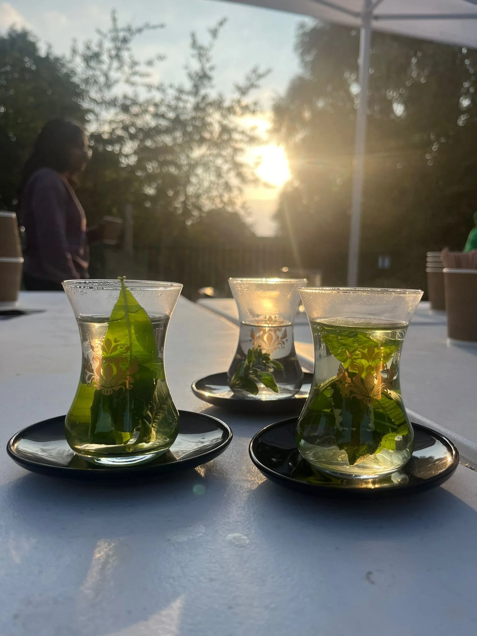 afb86d7a-0933-4c8a-bde1-67736d0869c3 (1).jpeg