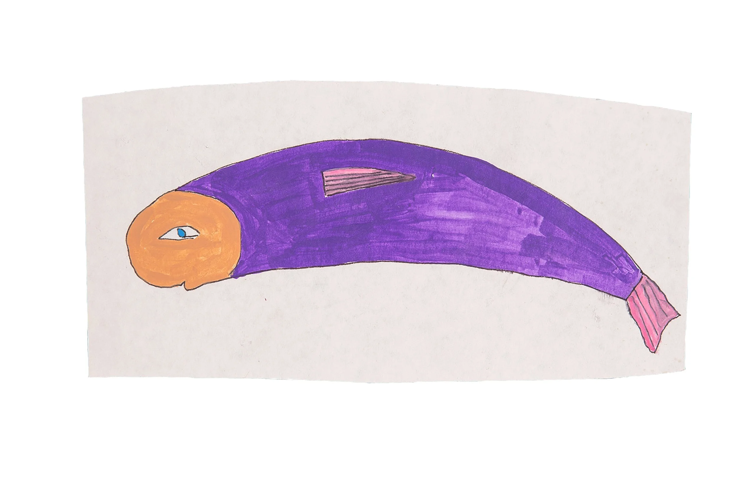 purple fish, 2009