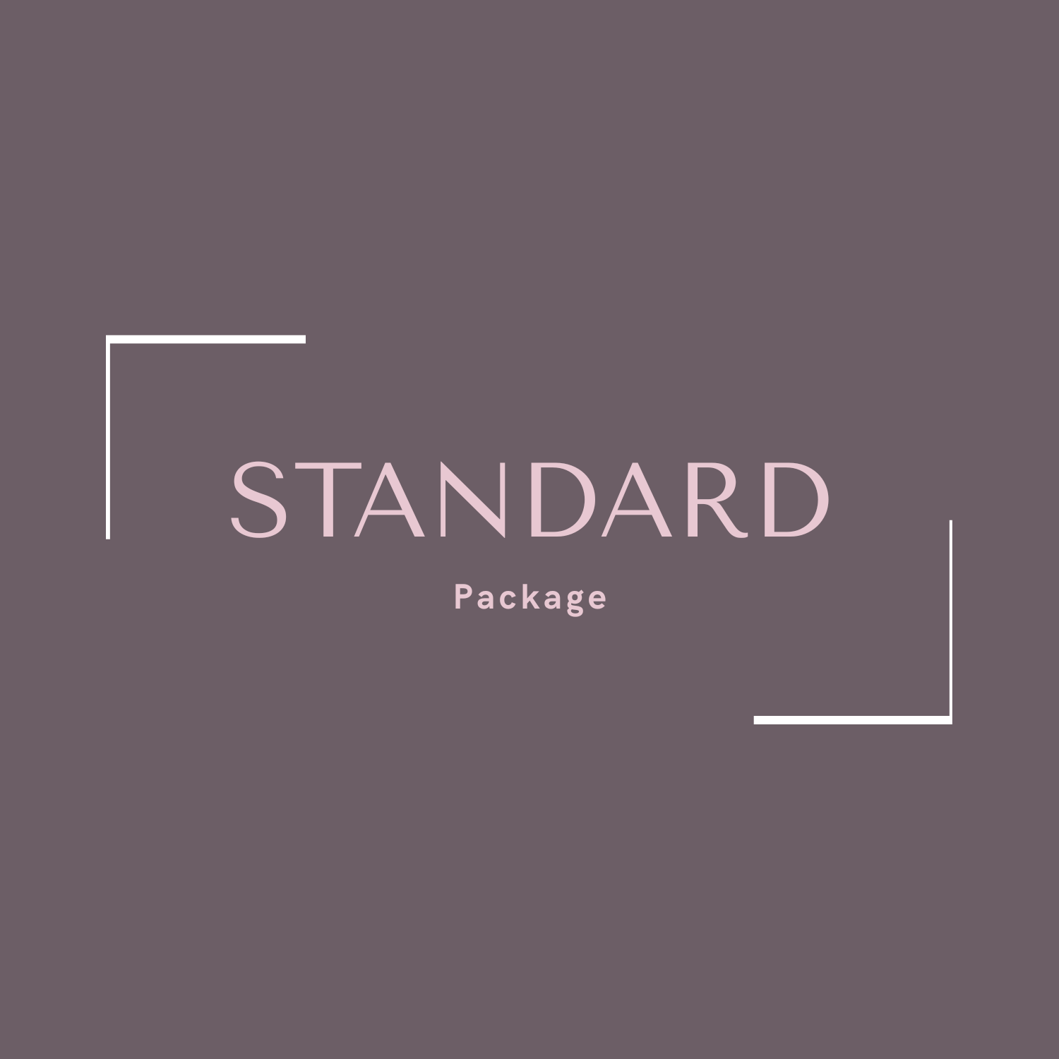 ✨ STANDARD