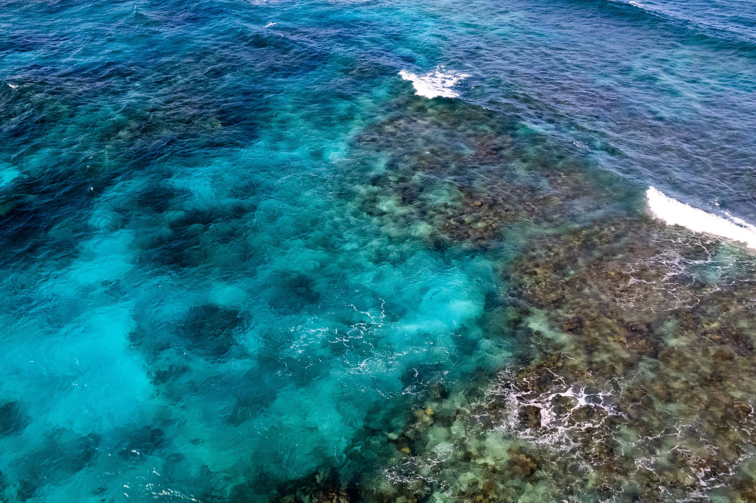 DJI_0087.jpg