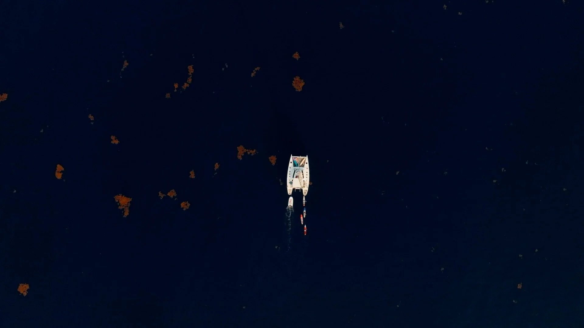DN Still 12.jpg