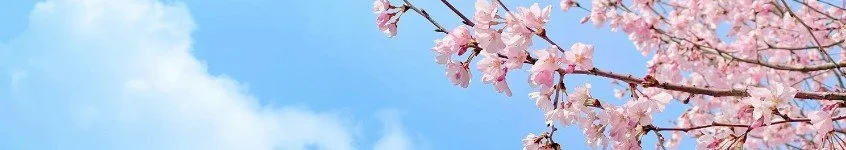 Spring Photo Northern Bergen County