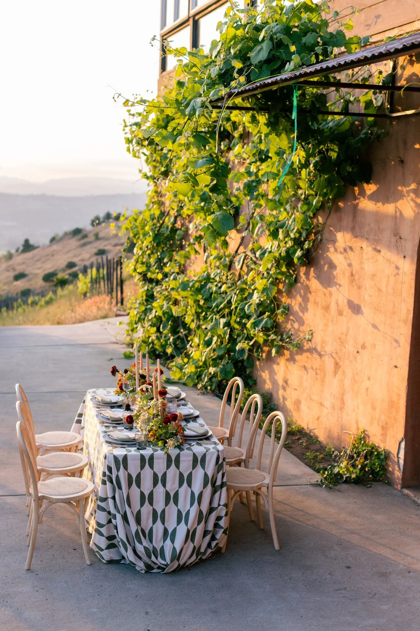 An outdoor dining table set for a meal, with a patterned tablecloth, flowers, and candles, placed on a concrete patio beside a wall with climbing green vines, overlooking a scenic landscape at sunset.