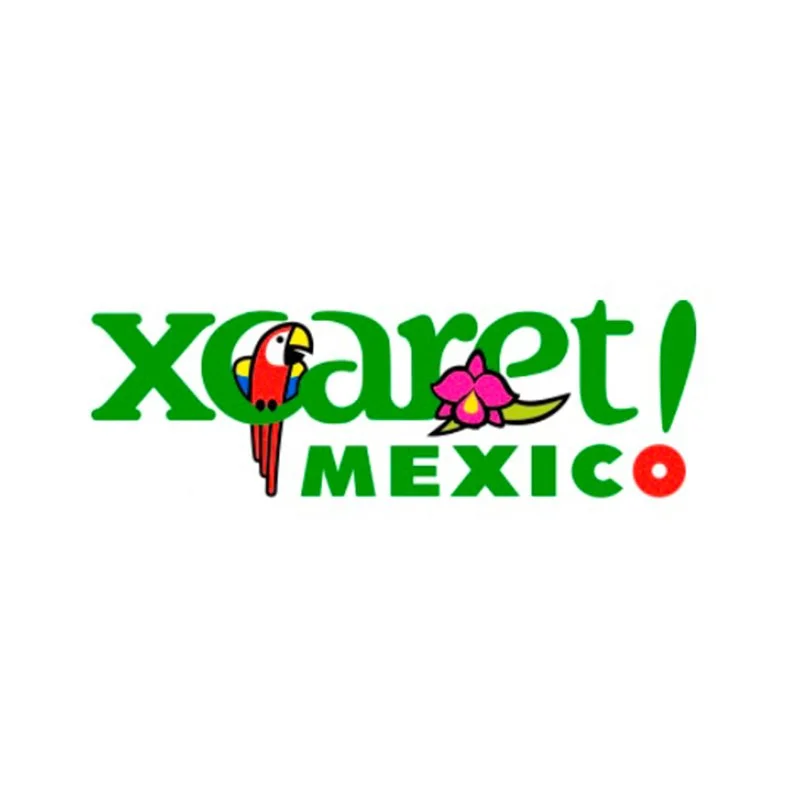 Iconos-6.jpg