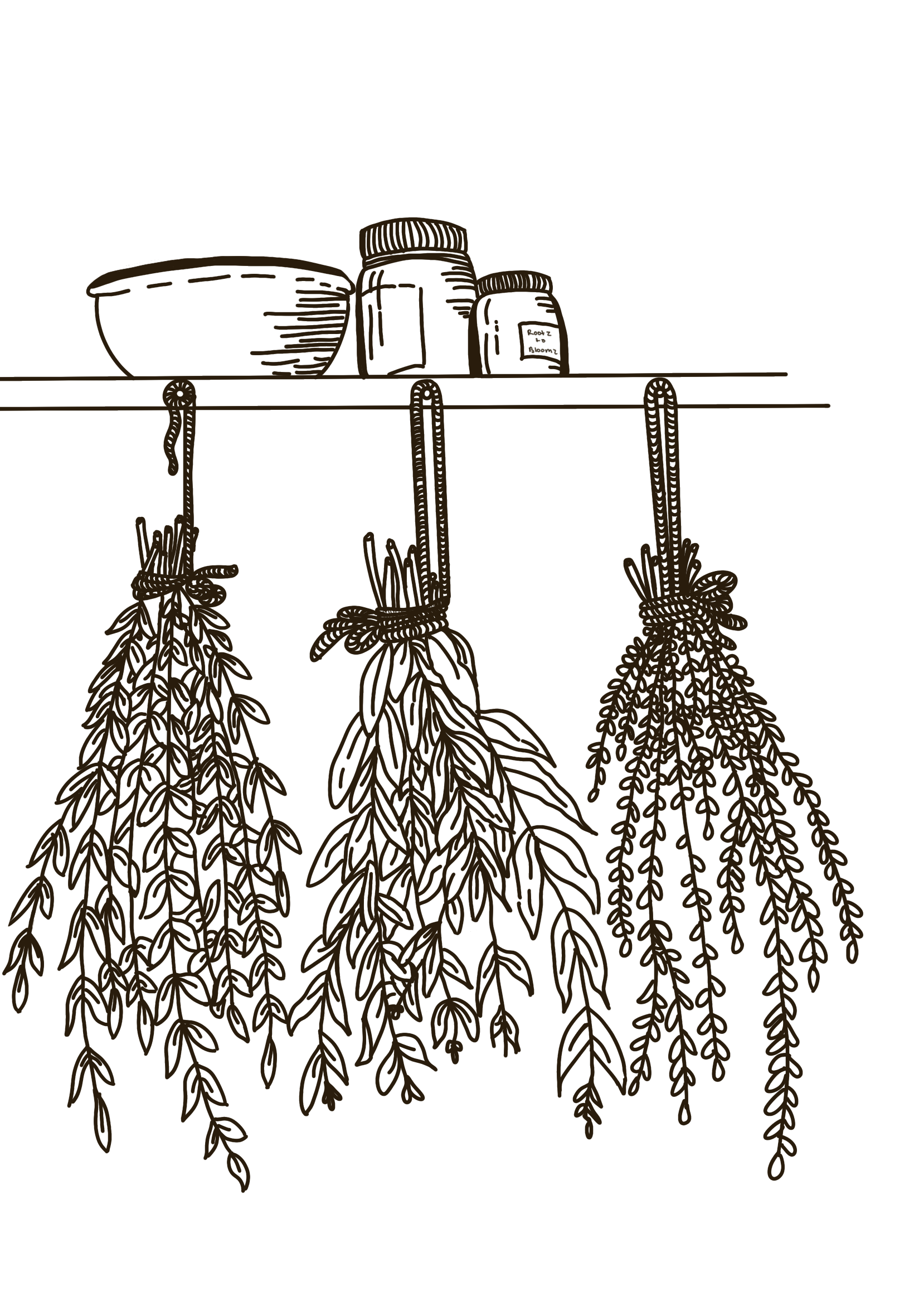 Lavender Nourish Body Oil – Dry Skin