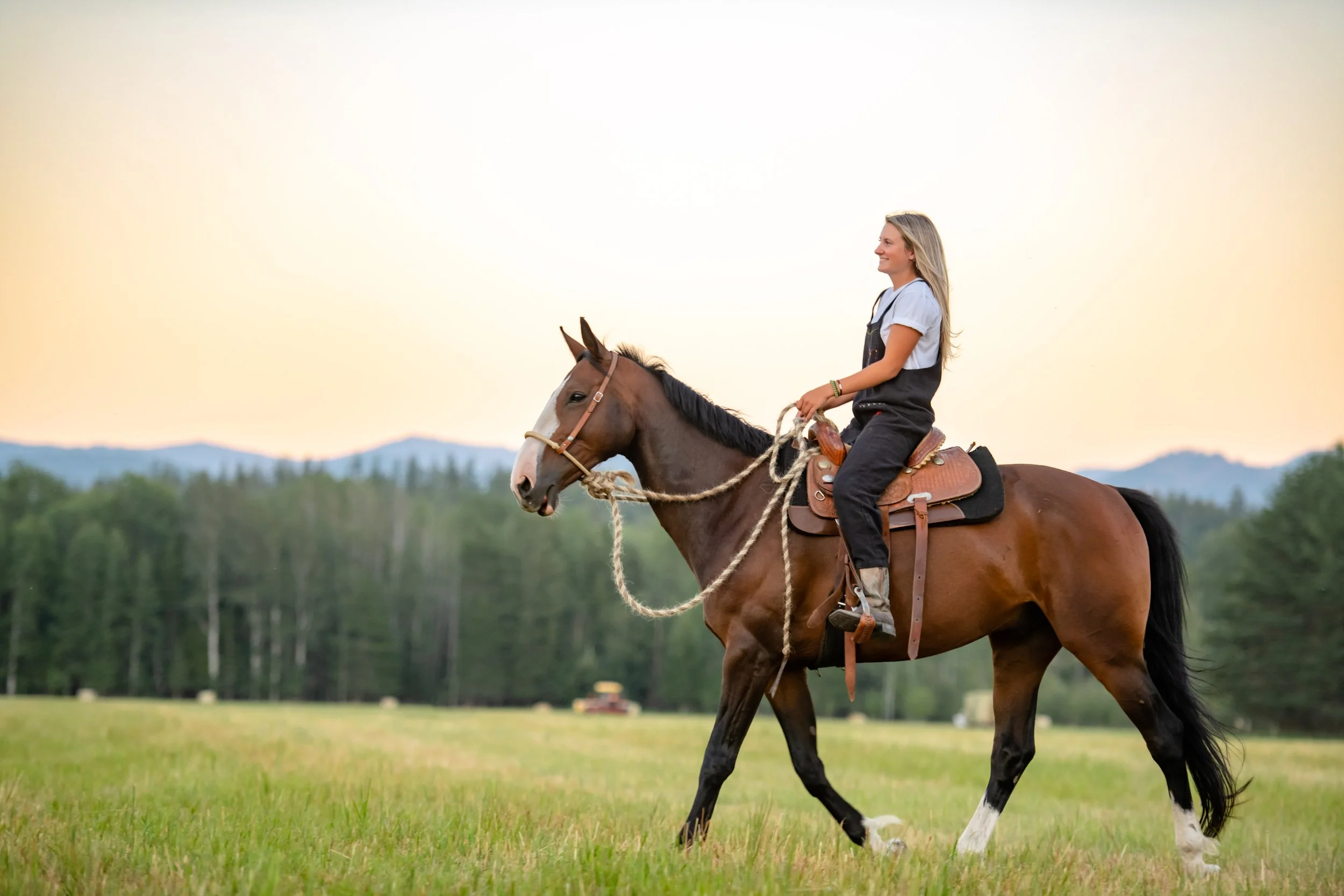 A young woman riding a brown horse in an open grassy field with trees and mountains in the background during sunset.