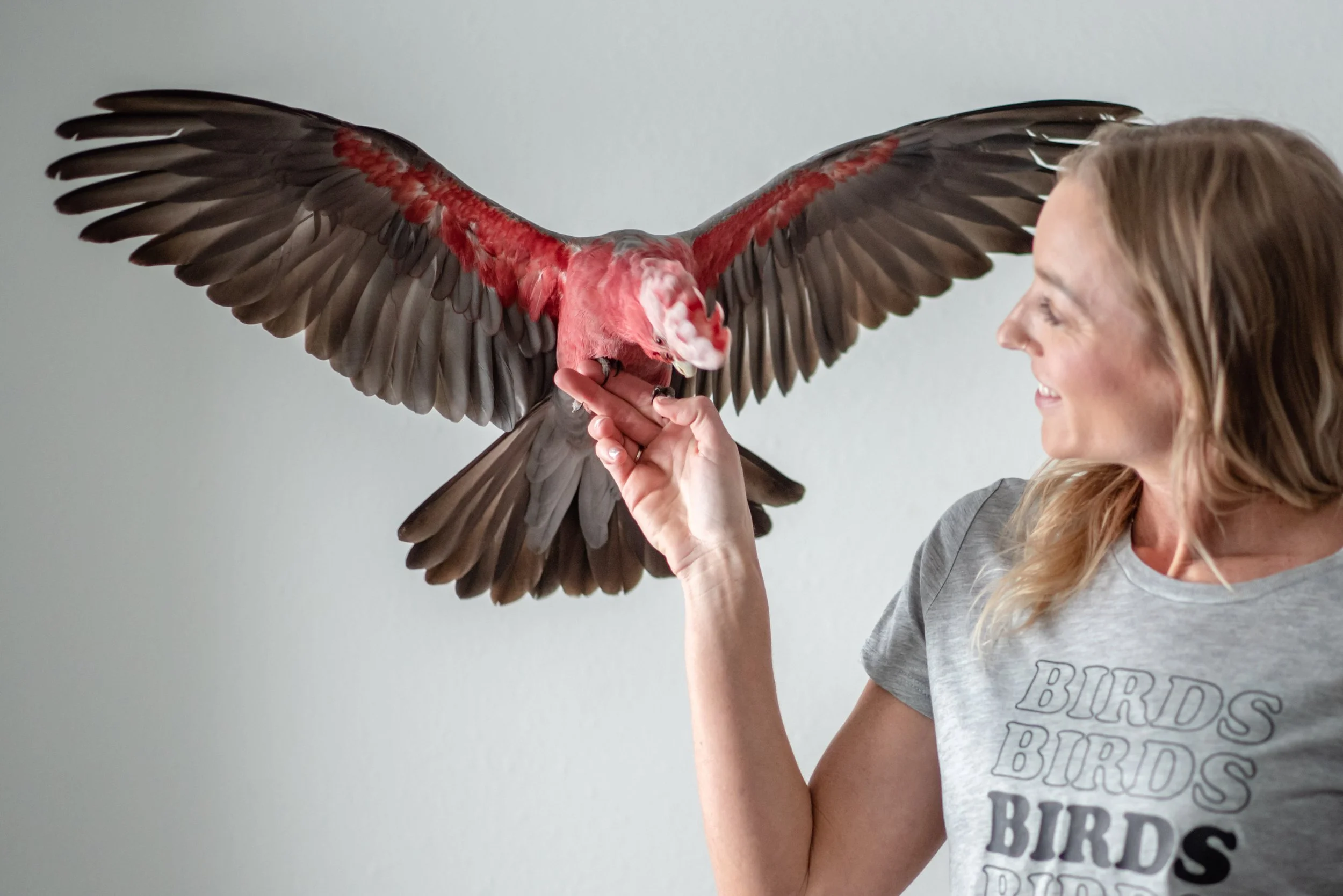 A woman smiling and touching the beak of an exotic bird in Sandpoint, Idaho