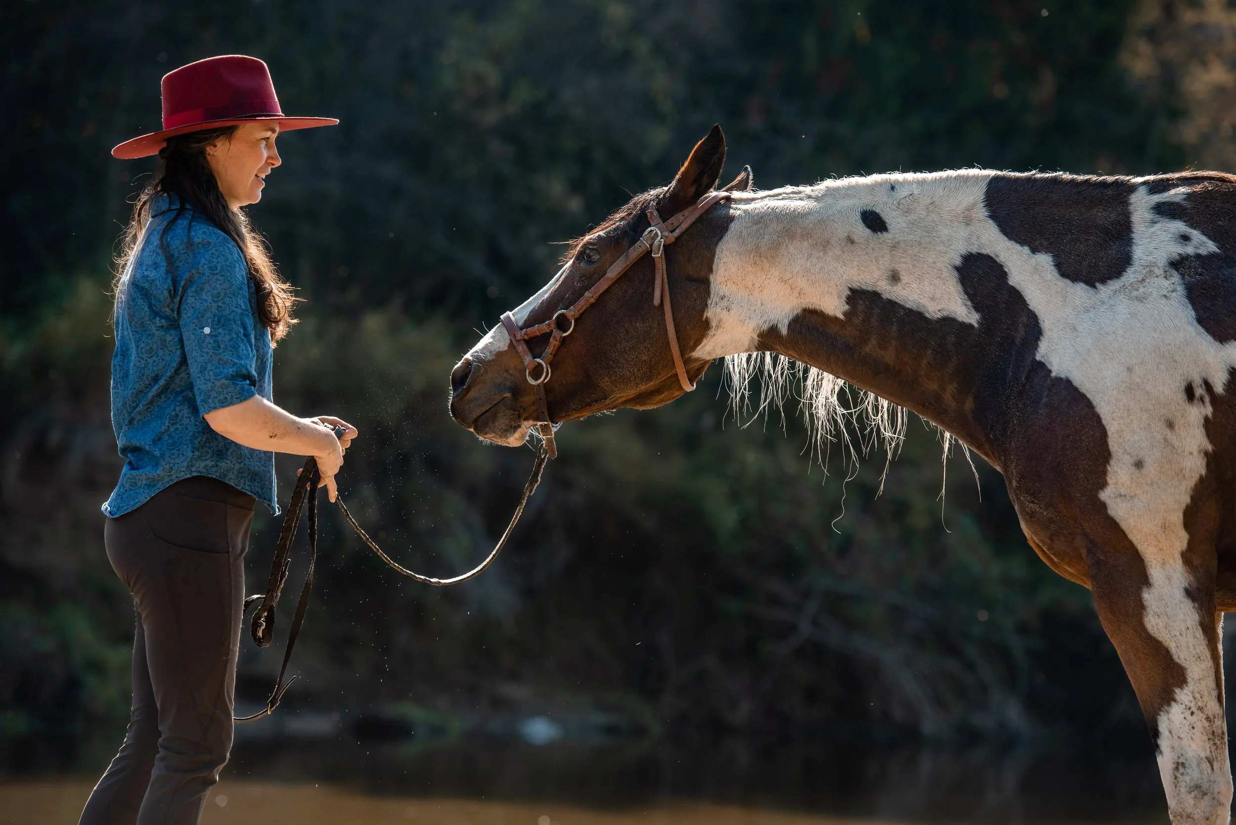 A woman with long dark hair wearing a red wide-brimmed hat, a blue patterned shirt, and brown pants holding a lead rope while standing near a brown and white spotted horse outdoors, with trees and water in the background.