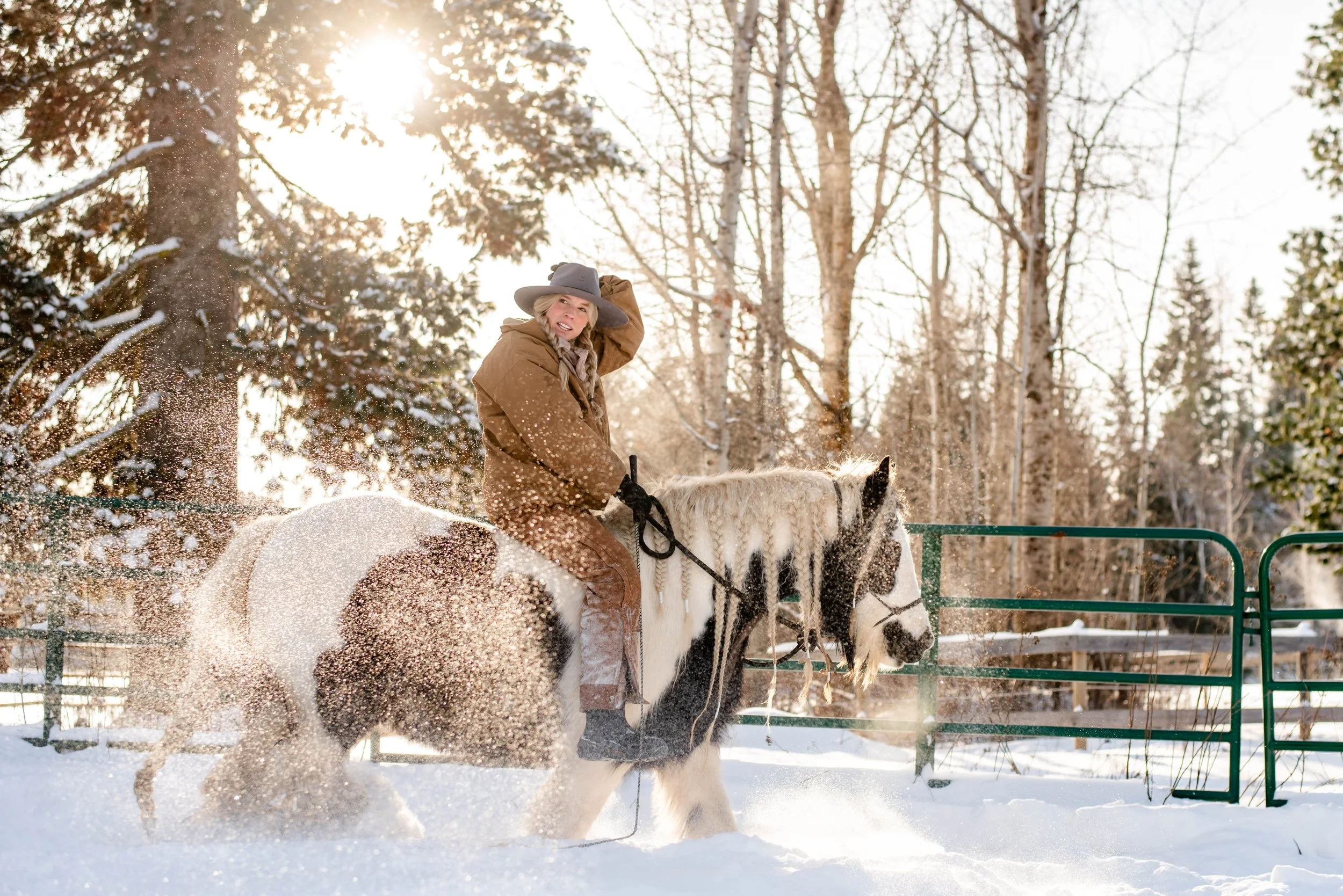 A woman riding a white and black horse in a snow-covered outdoor setting with trees and a green gate in the background, sunlight shining through the trees.