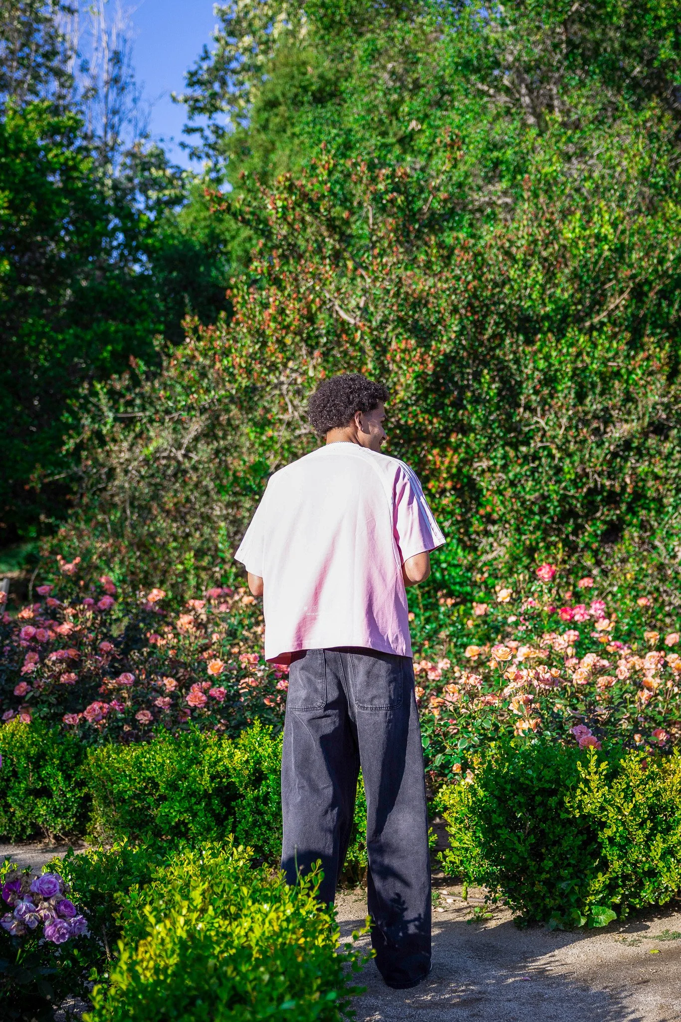 pink garden 2.jpg