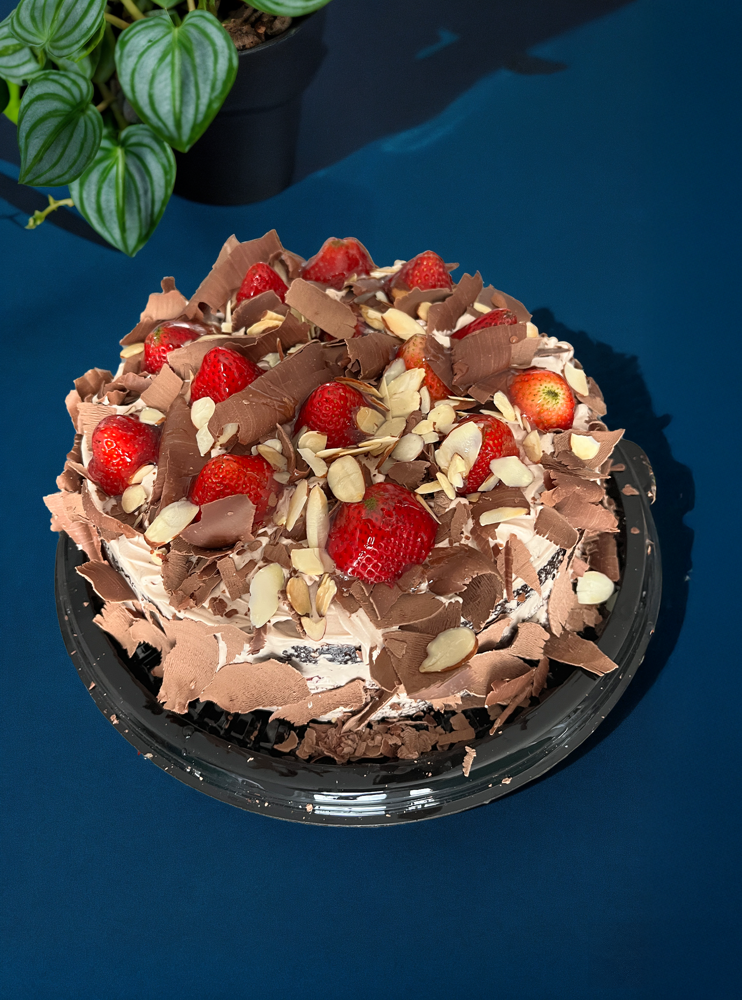 T-Torta Nutella.png