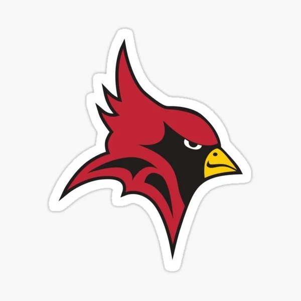st,small,507x507-pad,600x600,f8f8f8.jpg
