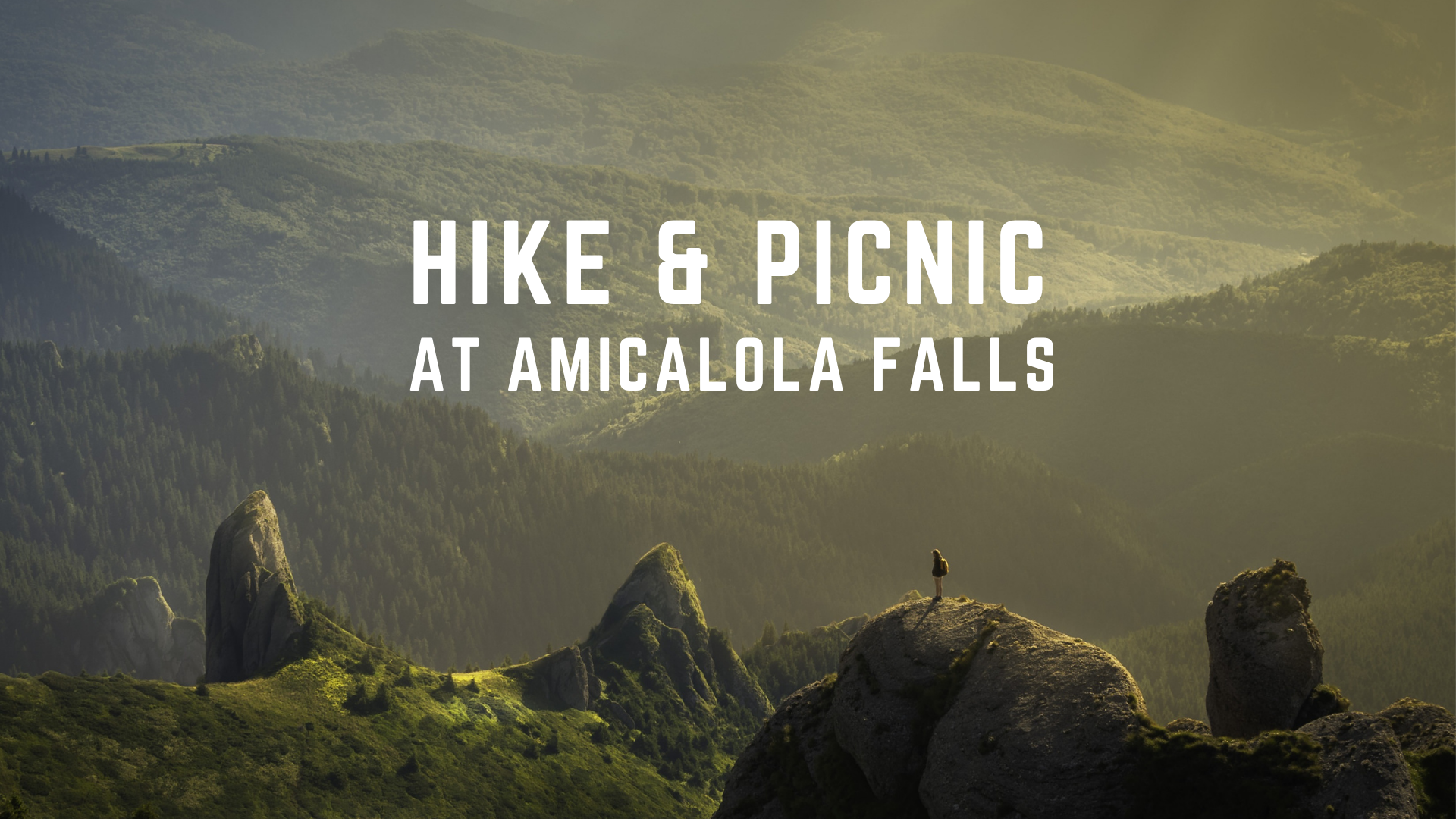 Emory Atlanta: AMICALOLA FALLS HIKE & PICNIC