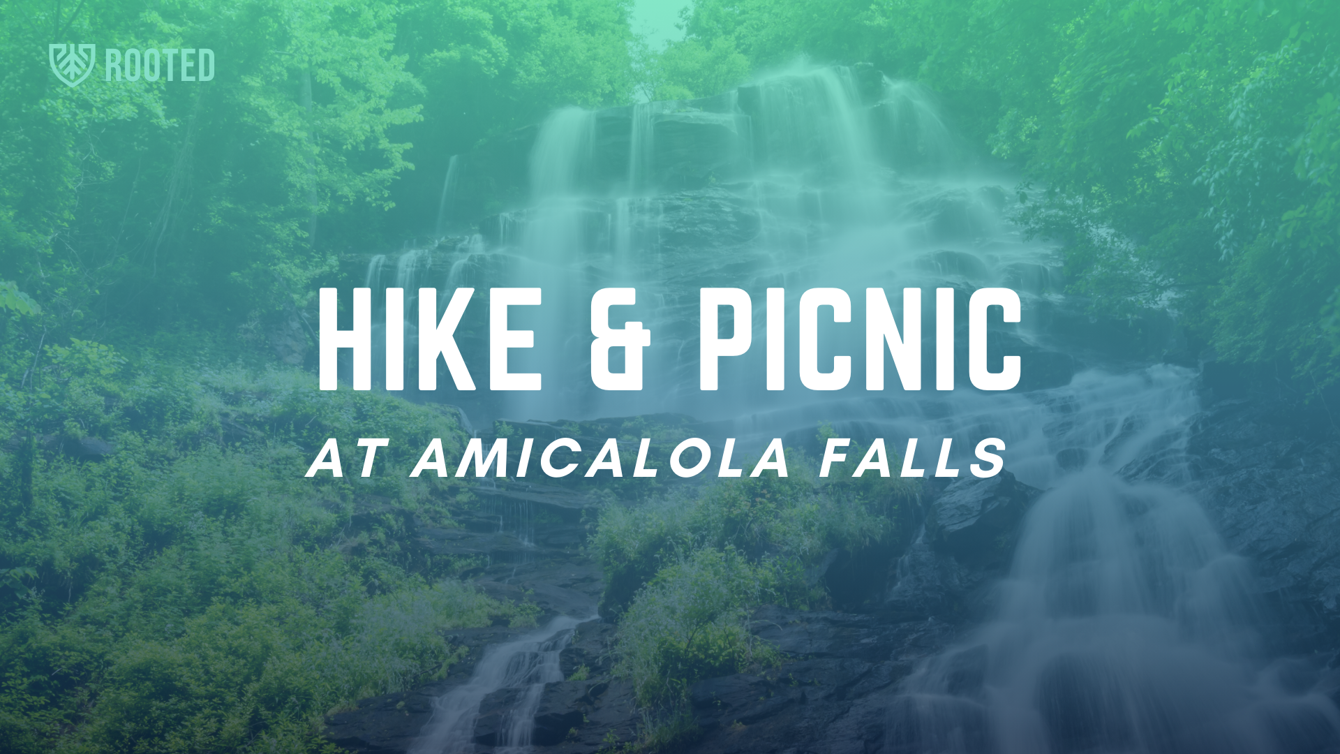 Amicalola Falls Hike & Picnic
