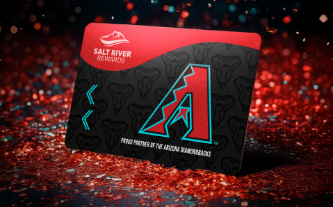 Arizona Diamondbacks Partnership