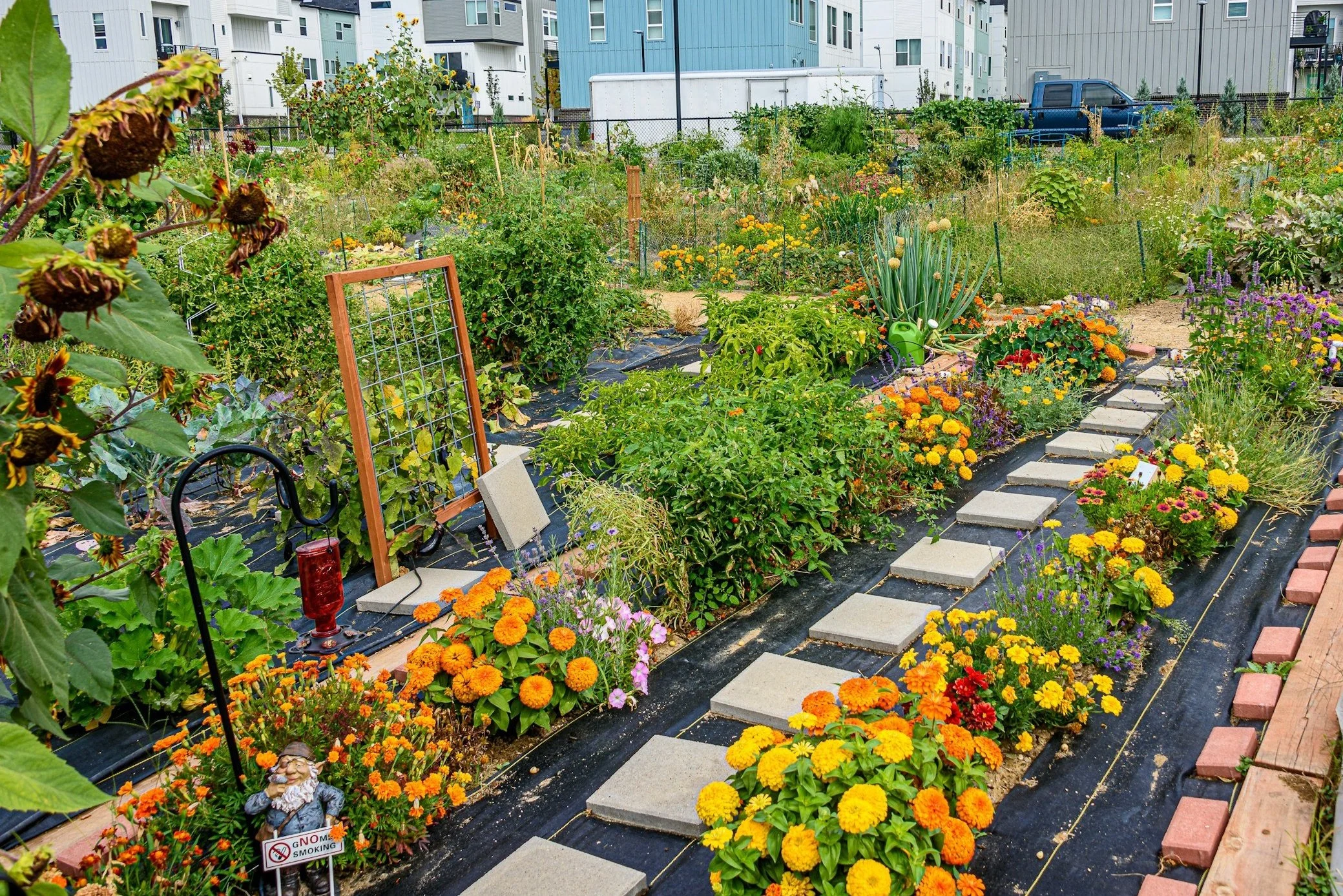 In ground community garden full of flowers and vegetables