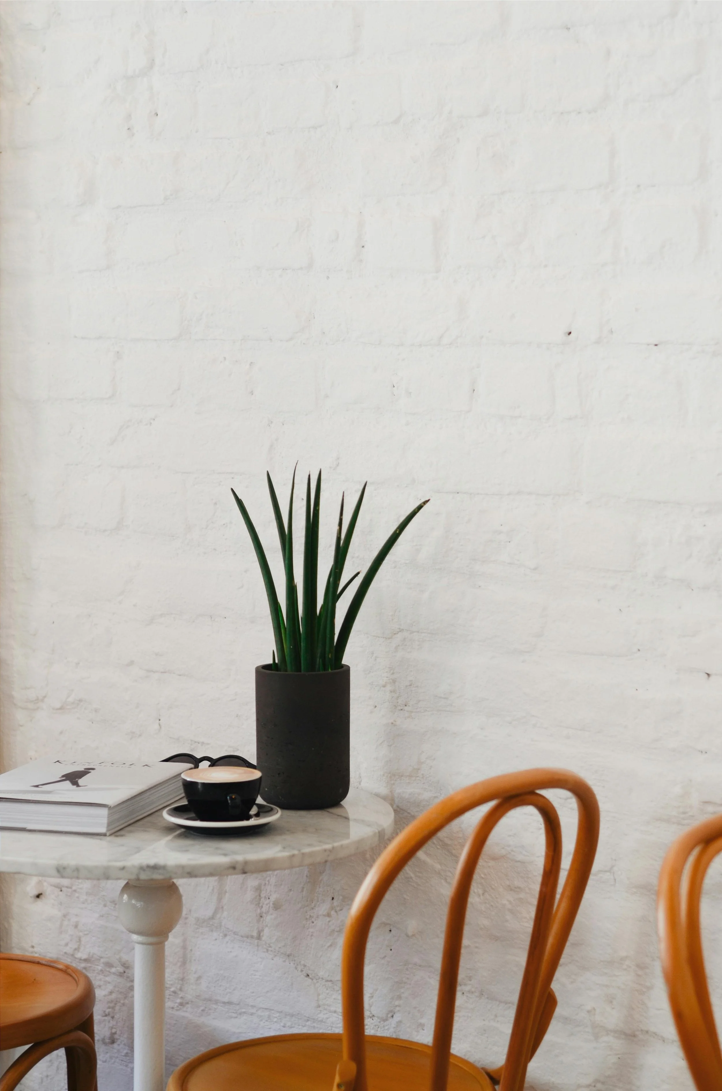 A small round white marble table with a black coffee cup and saucer, a stack of books, and a tall green plant in a black pot against a white brick wall. Two wooden chairs are partially visible.