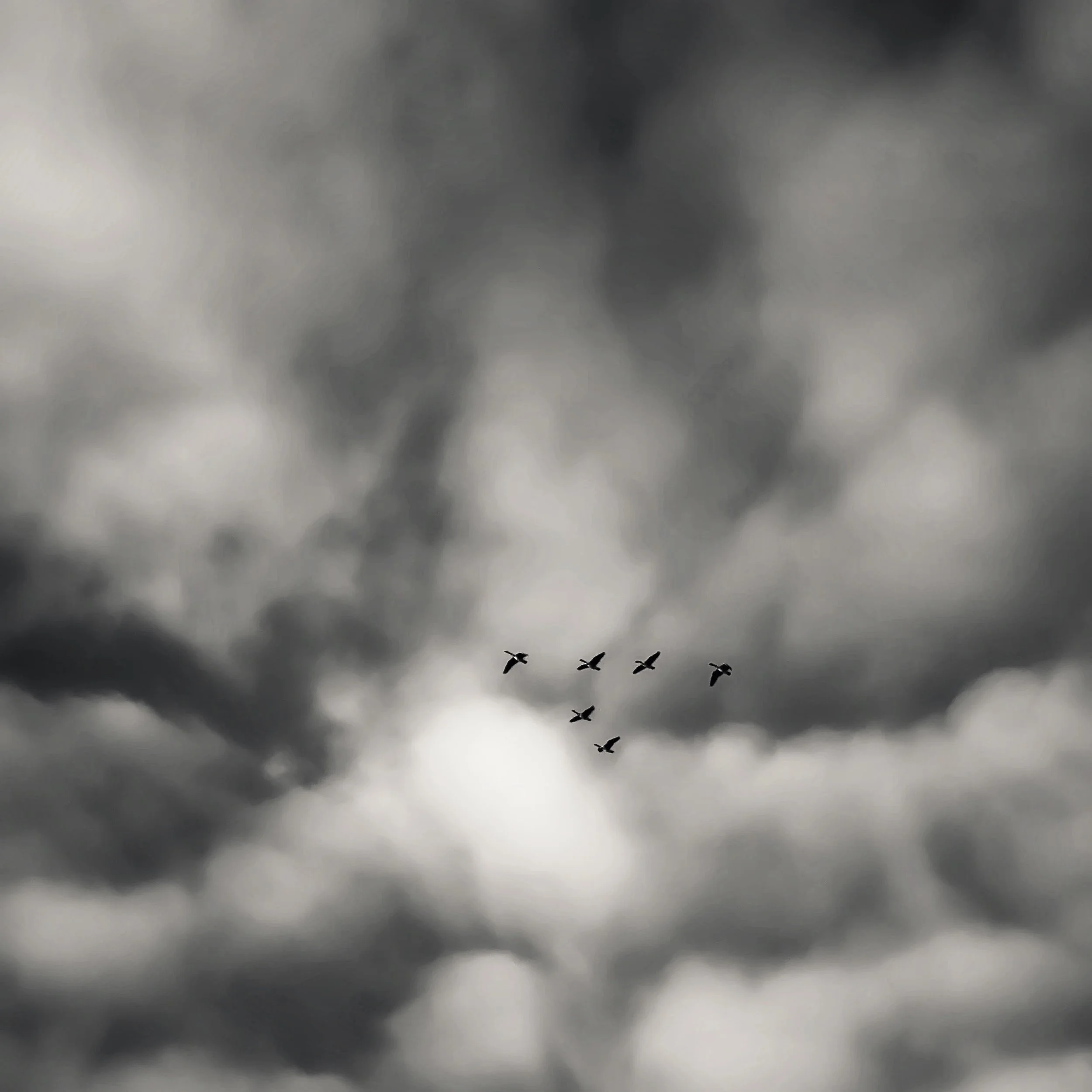 IMG_8143.jpeg