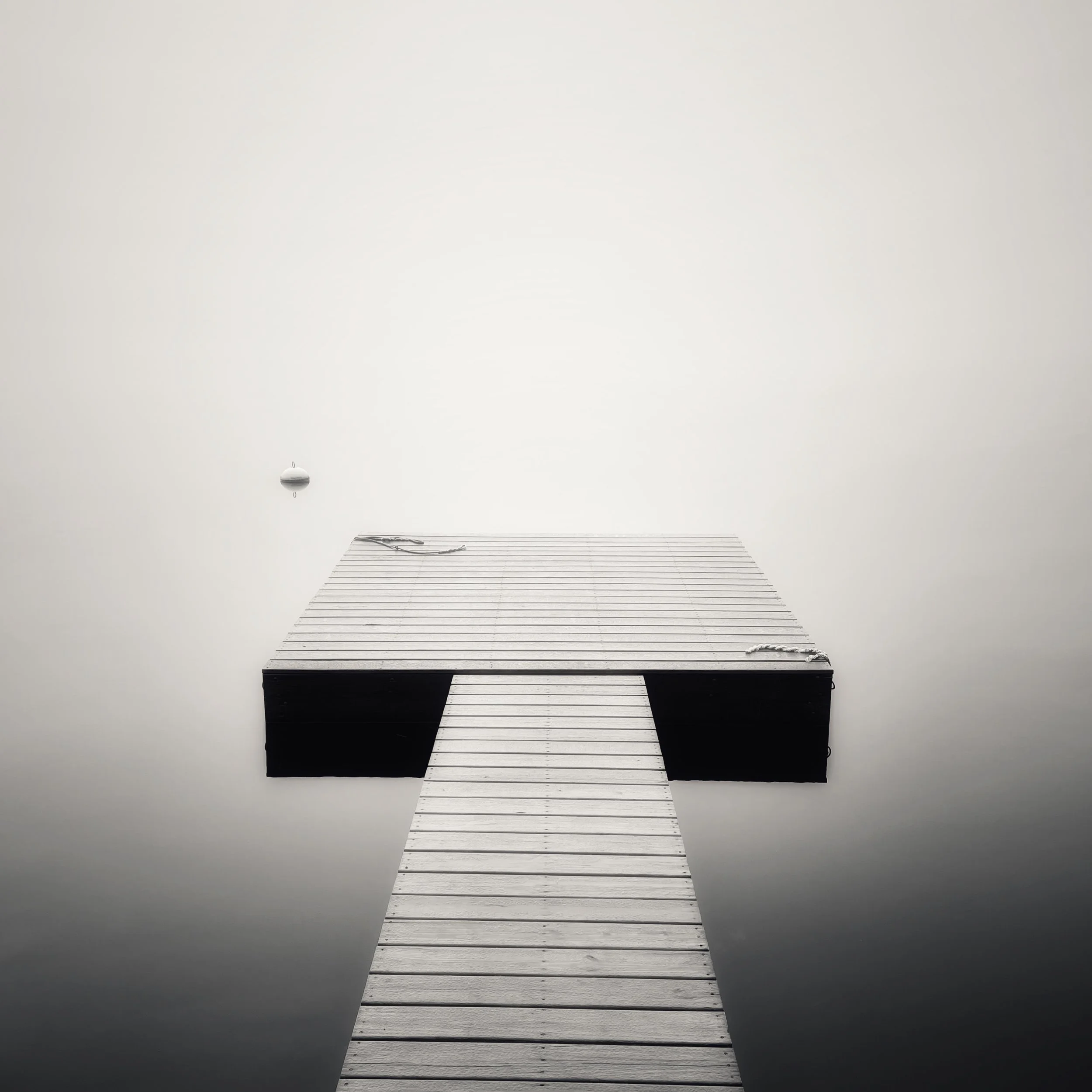 Snapseed 6.jpeg