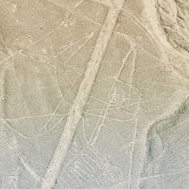 Come fly with us! 🛩️
We&rsquo;ll show you how to spot one of the hardest Nazca Lines to see &mdash; the Whale, a figure most people miss! 🐋
With our expert tips, you&rsquo;ll be ready to see the Nazca Lines like never before and enjoy this unforget