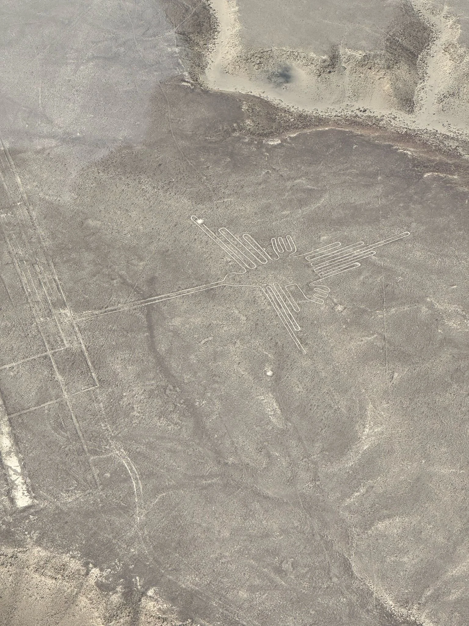 ✈️ Everything You Need to Know Before Flying Over the Nazca Lines