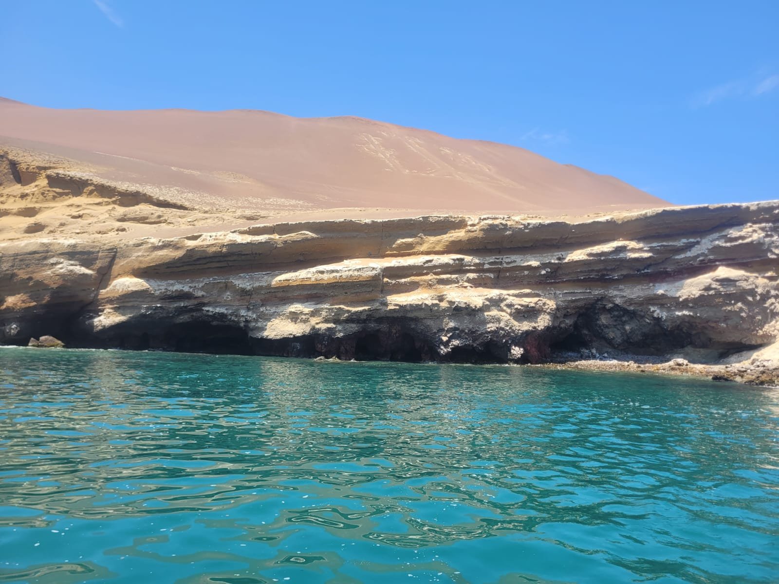 If You Have One Free Day in Lima, Visit Paracas National Reserve