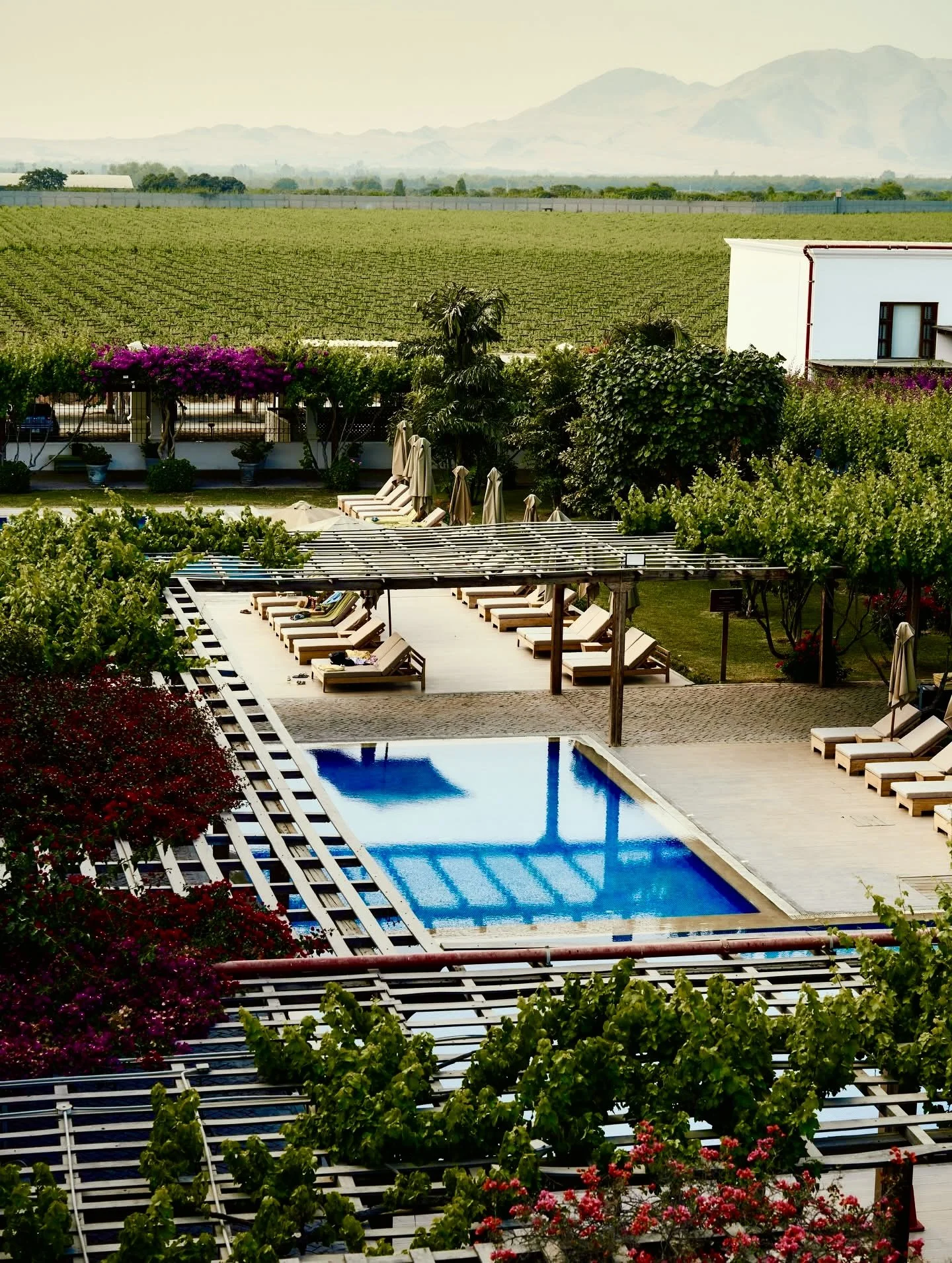 2-Day Private Ica Wine Escape – Stay at Viñas Queirolo Boutique Hotel