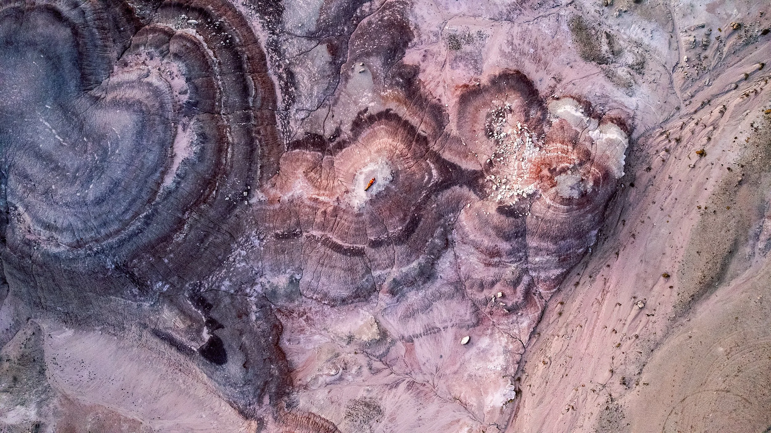 Small in Time - Purple Mountain, Utah