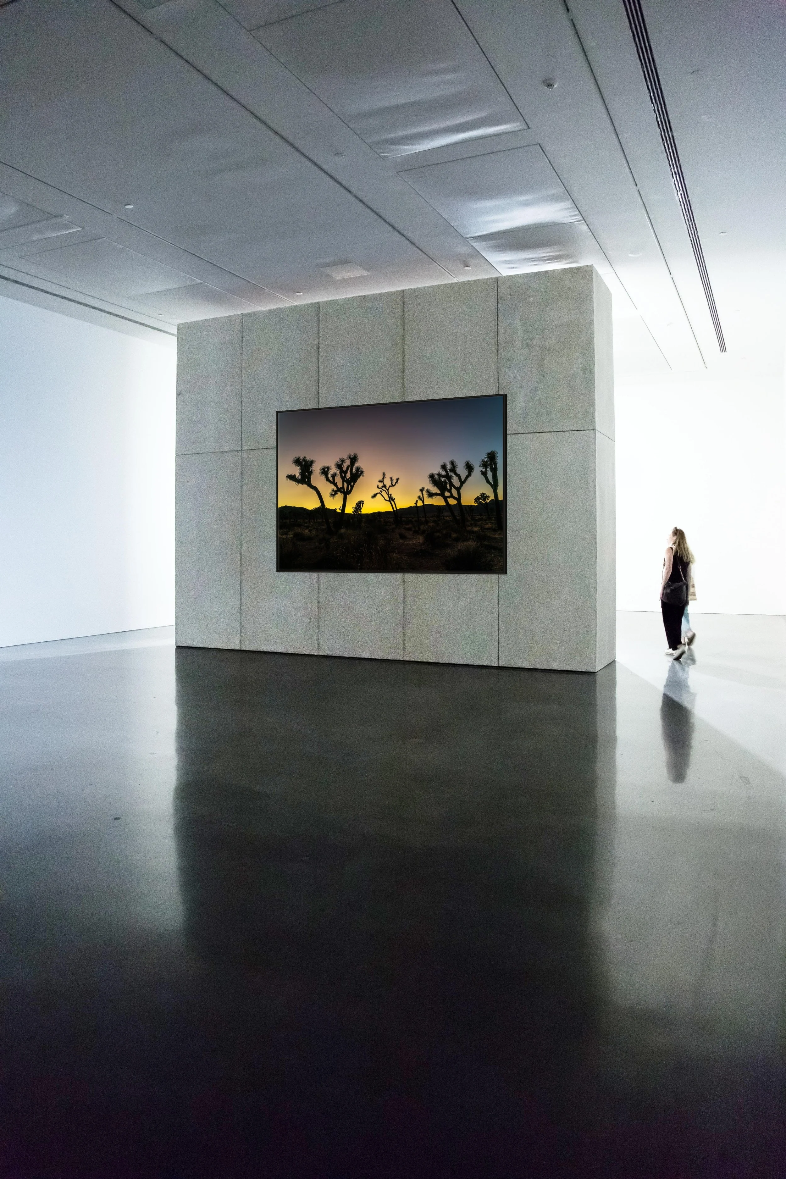 Desert Sentinels — Joshua Tree silhouettes at gold dusk, framed in black floating wood frame, hung in a sleek gallery corridor with polished concrete floors.